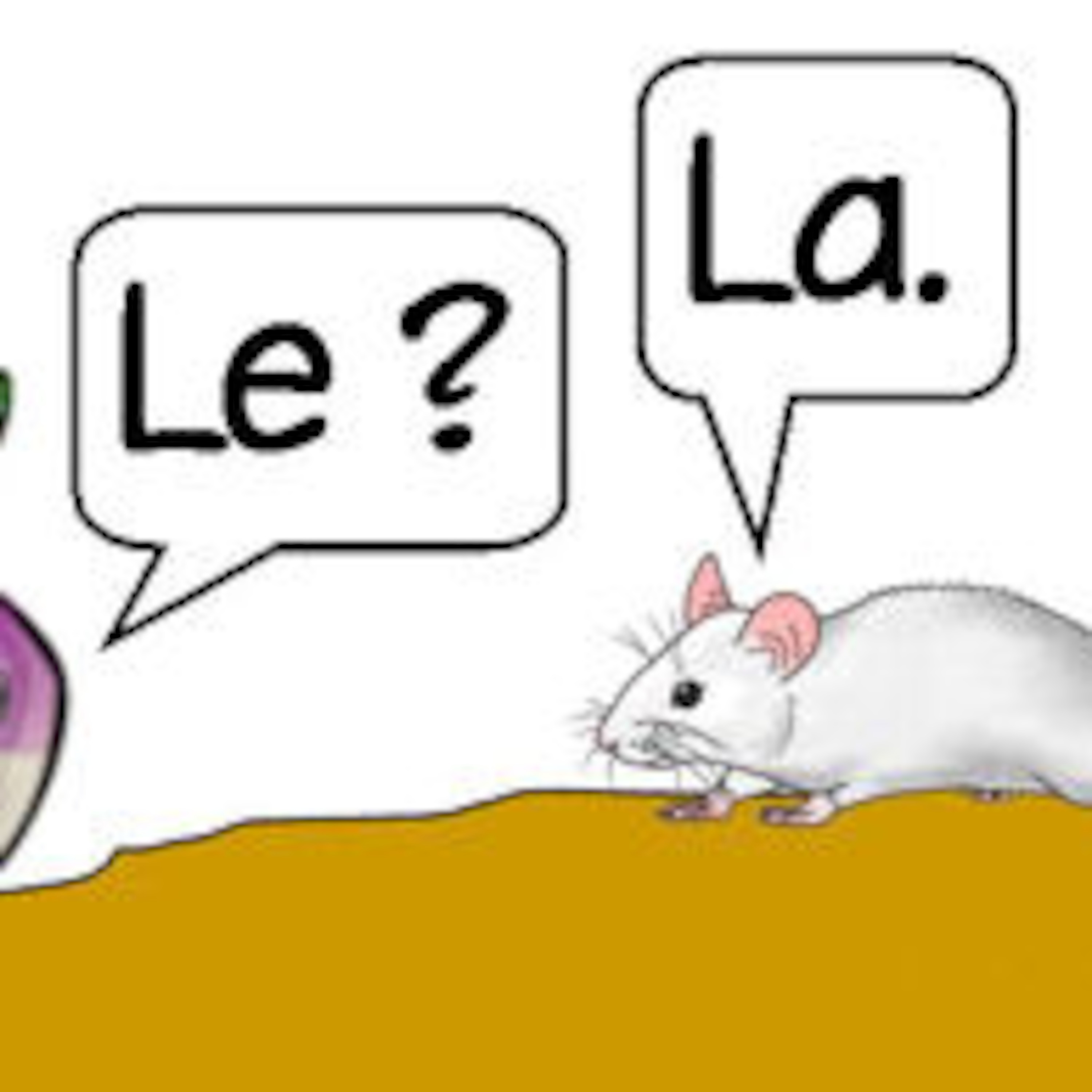 MFL Sunderland Primary French Podcasts