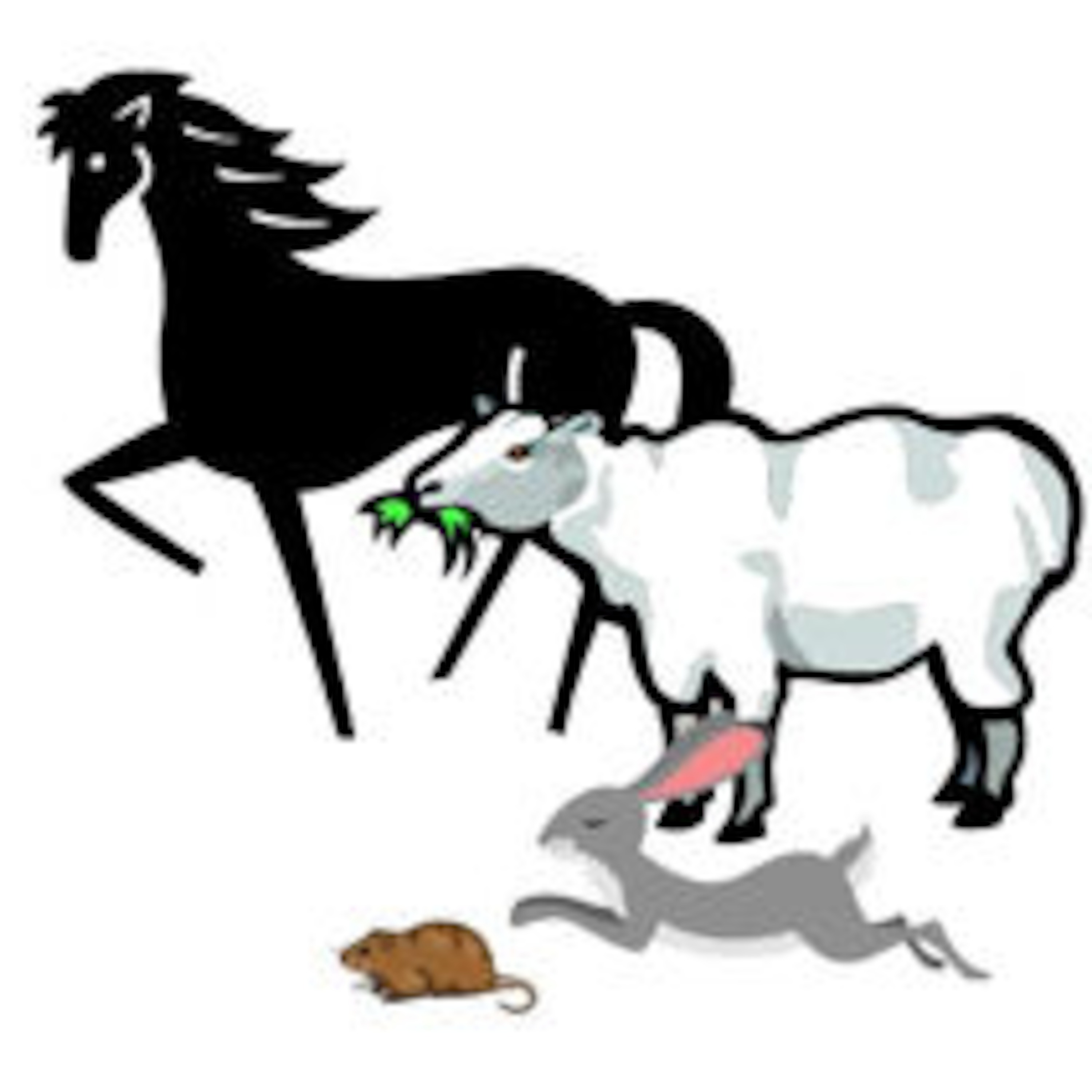 MFL Sunderland Primary French Podcasts