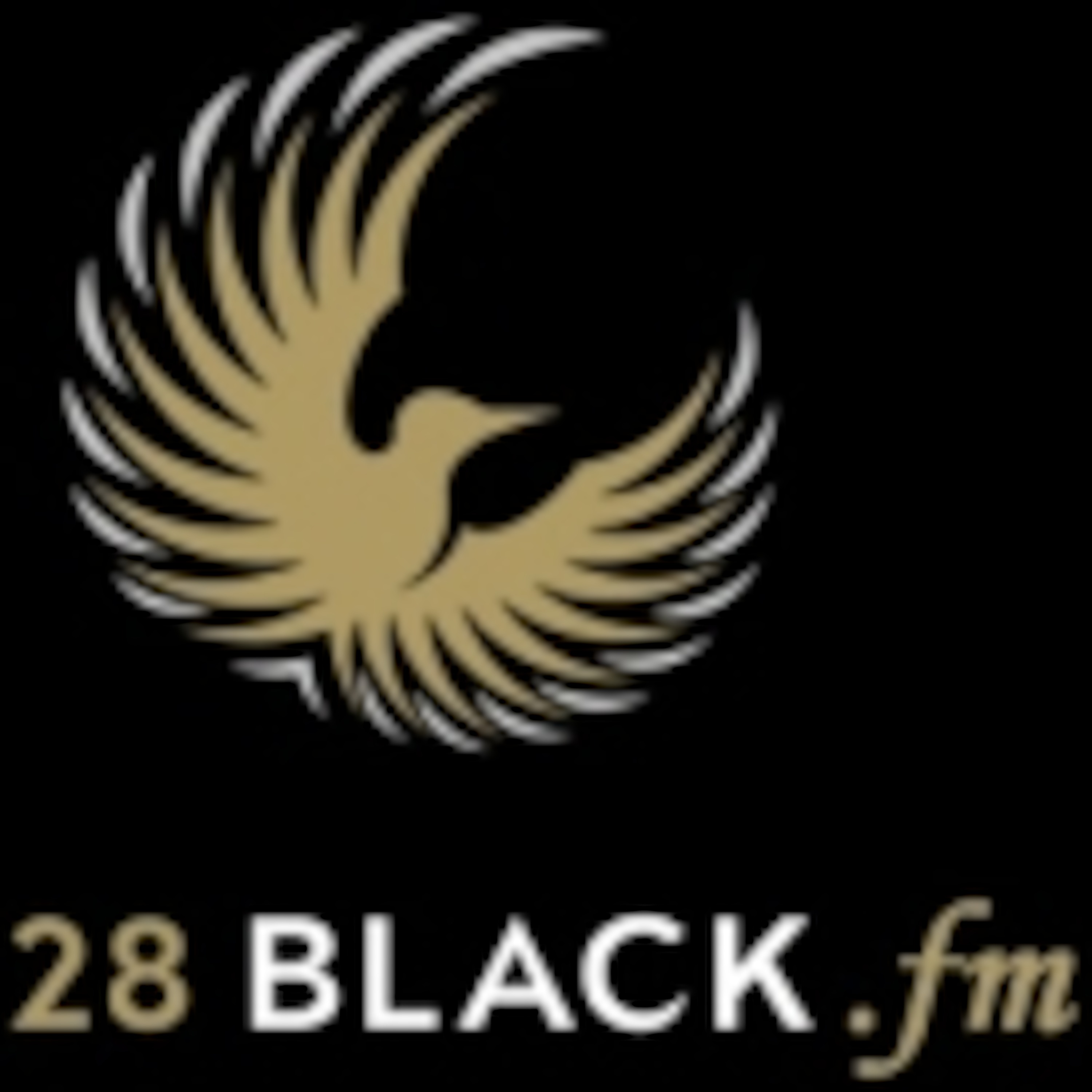 DJ Levent OZBAY (Official Podcast)