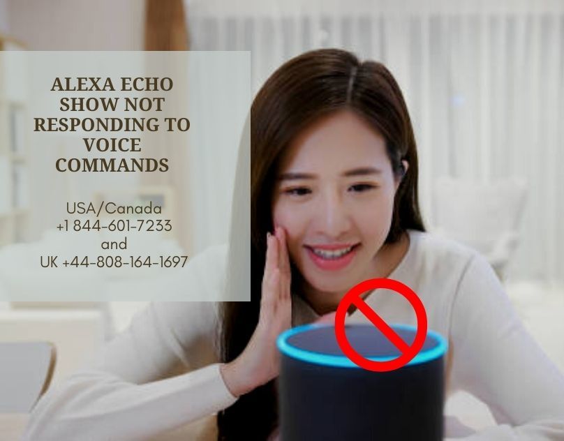 Alexa Customer Service Number +1 844:601:7233 Alexa Helpline