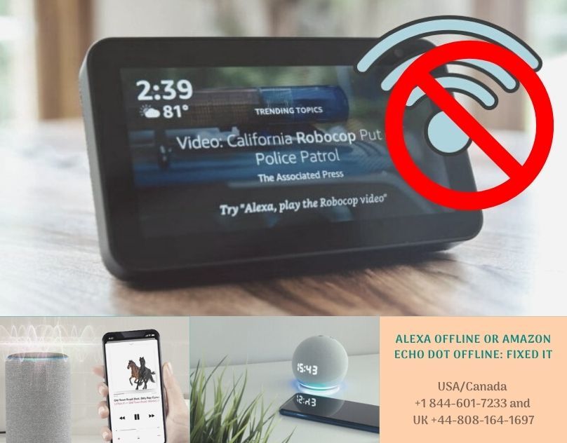 Alexa Customer Service Number +1 844:601:7233 Alexa Helpline