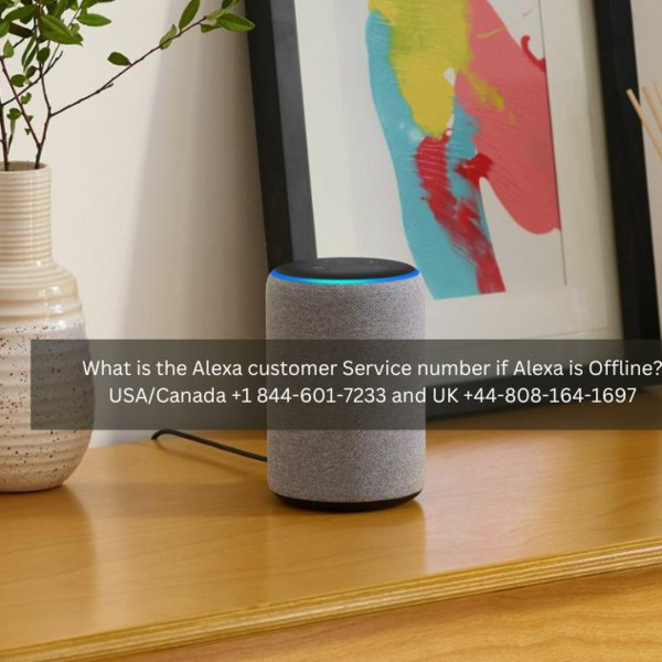 Alexa Customer Service Number +1 844:601:7233 Alexa Helpline