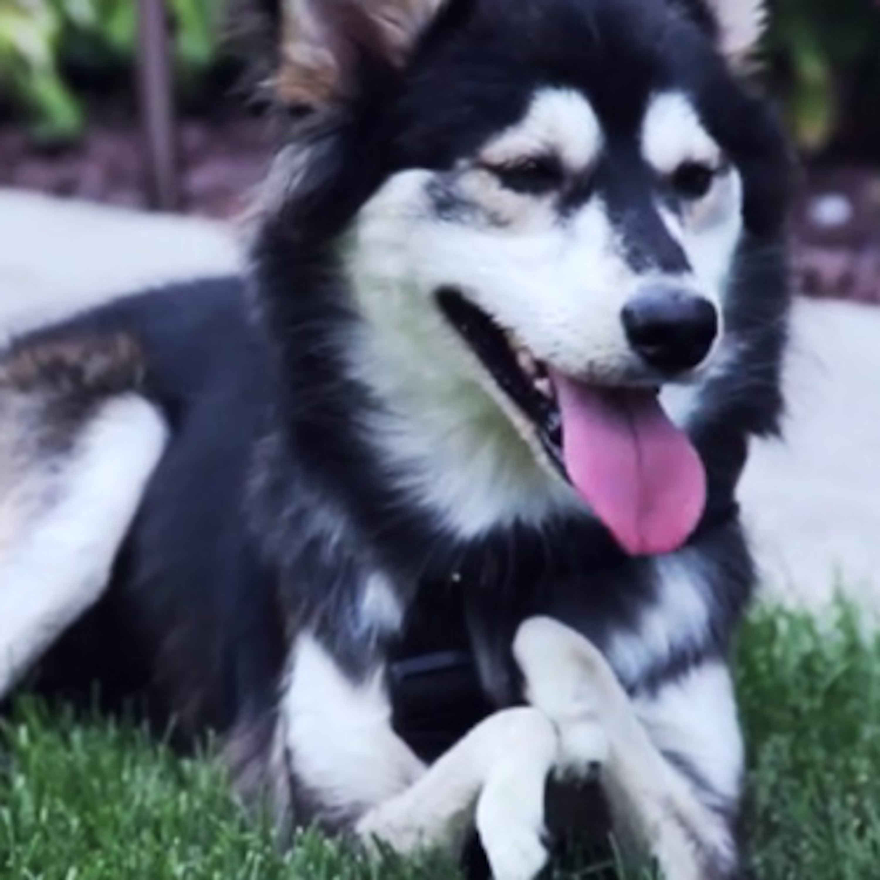 Saul Kaye\'s Podcast