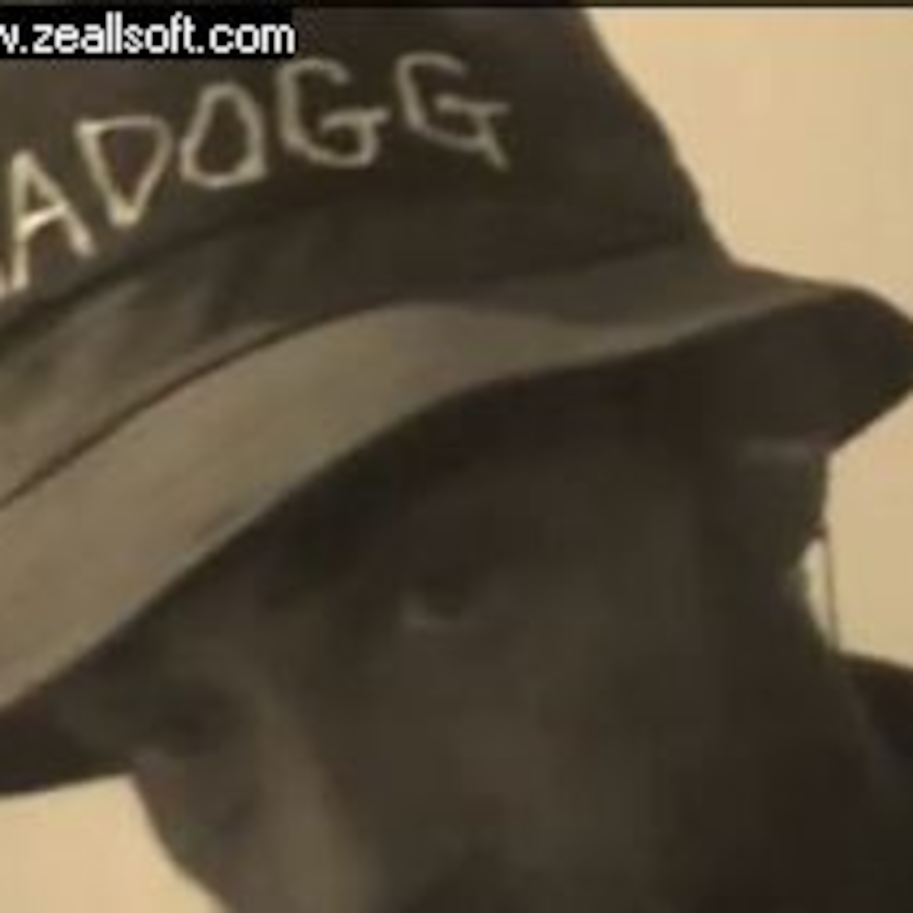 Zuma Dogg
