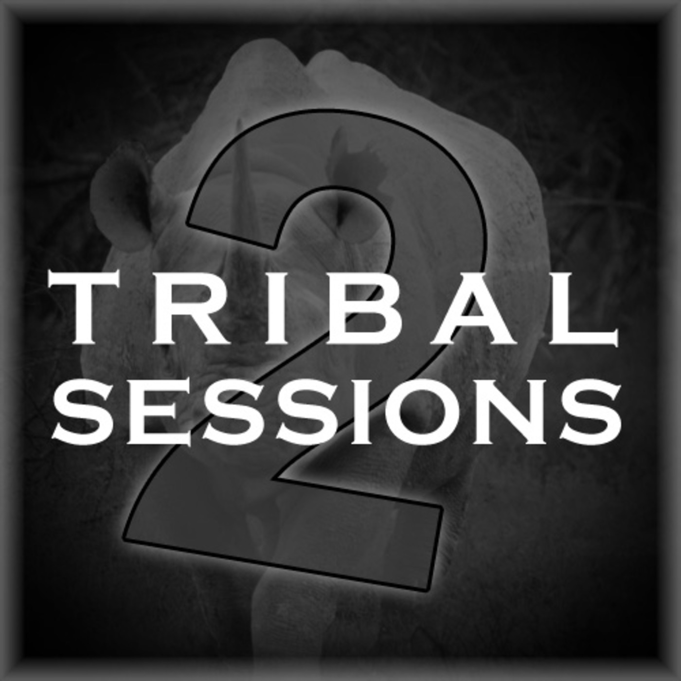 Tribal Sessions 2: Tribal to Tech