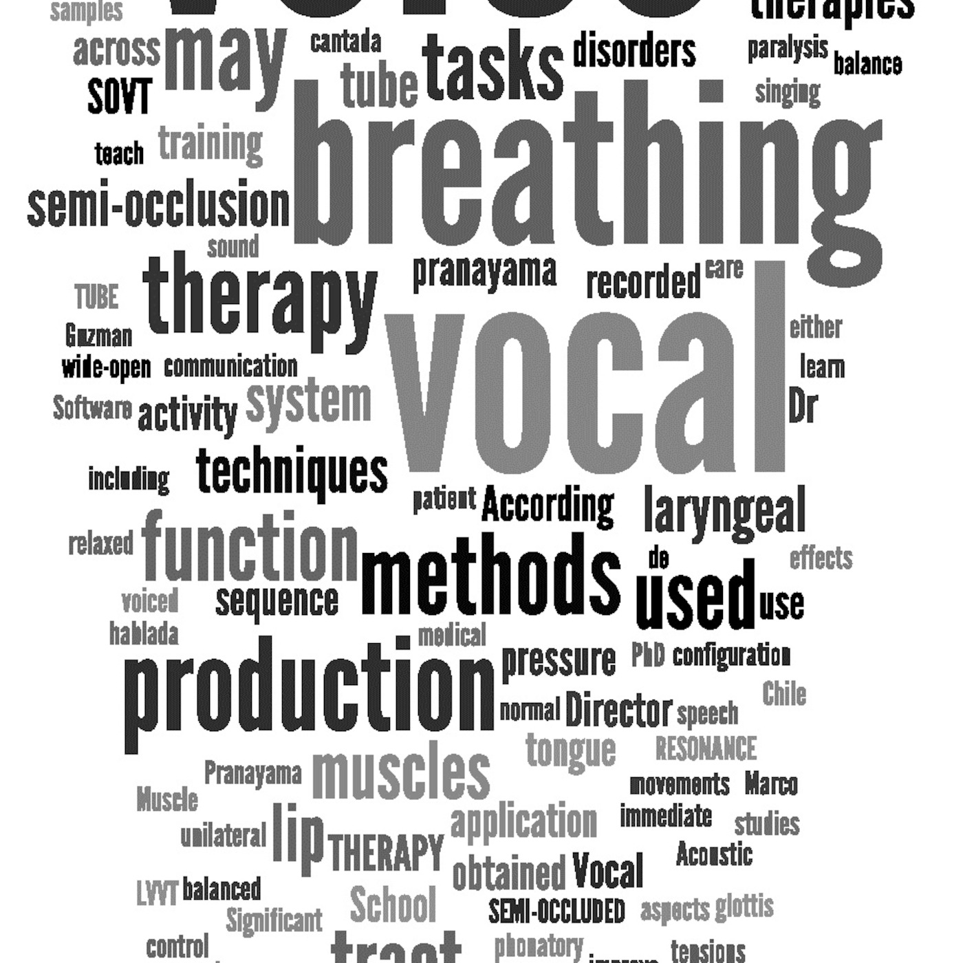 Stigz - Vocal (Dis)Chord