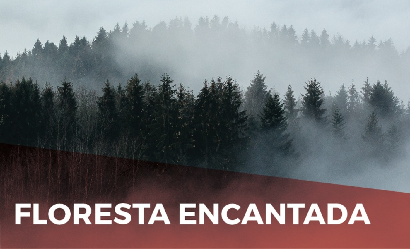 A Floresta Encantada