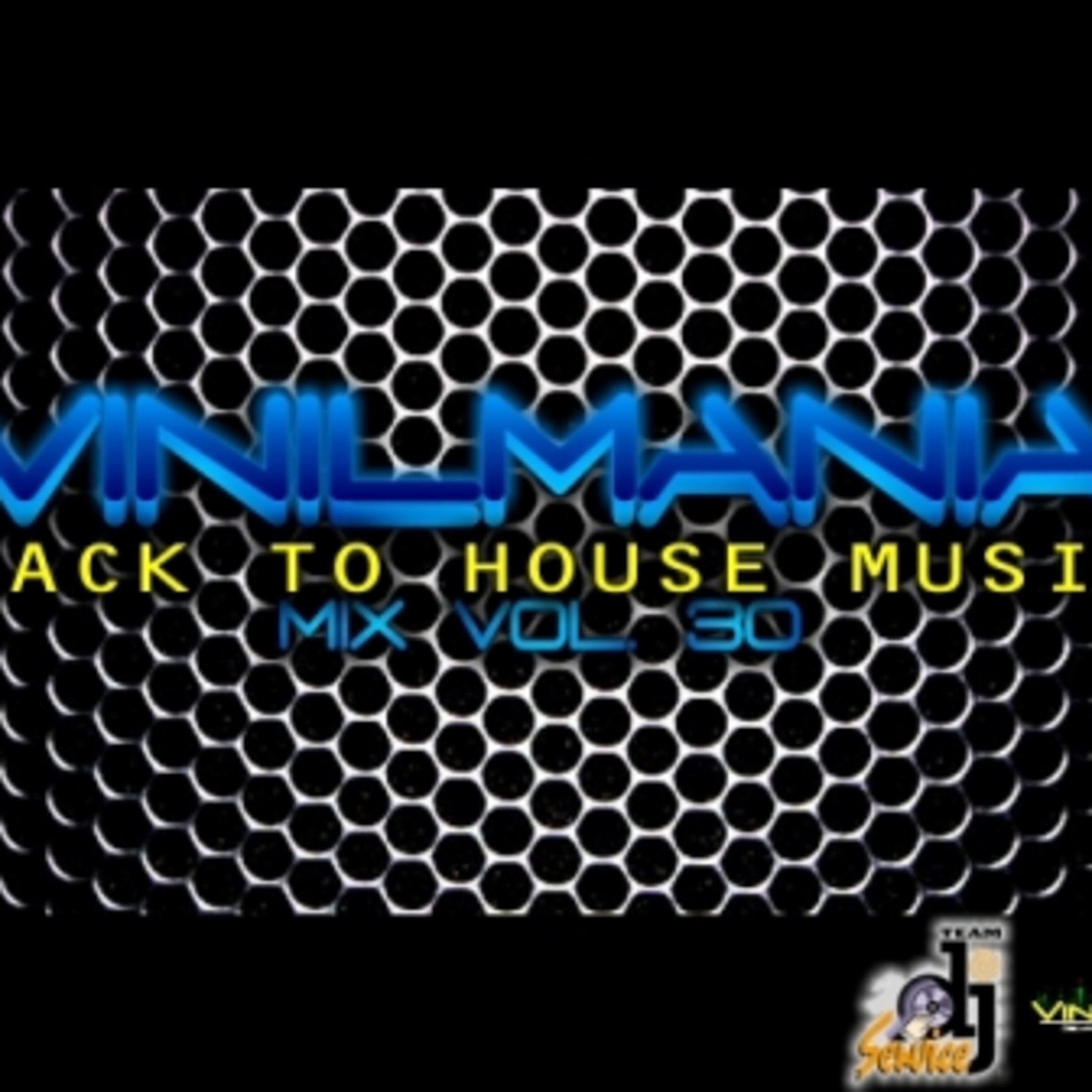 Vinilmania Mix Volumen 30 - Back To House Music episode artwork