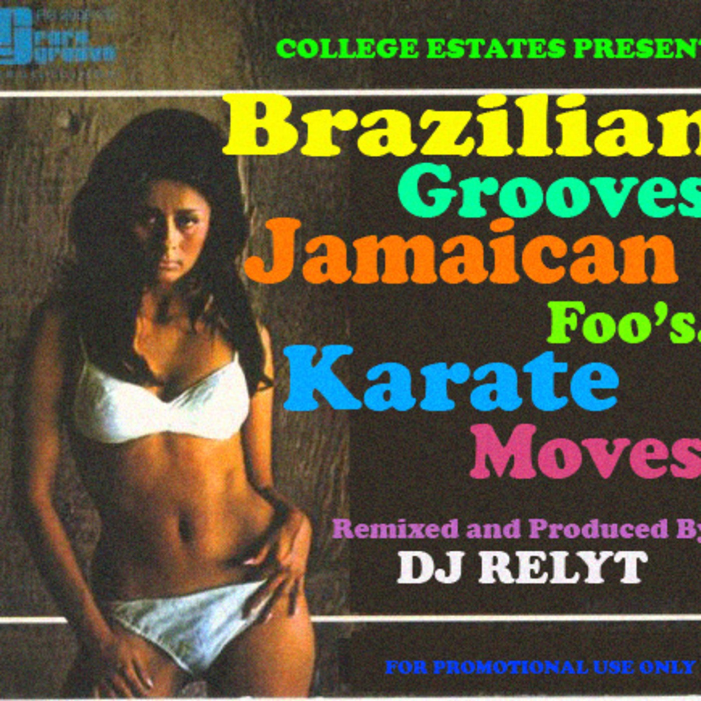Brazilian Grooves, Jamaican Foo's, Karate Moves. MIXTAPE By Dj relyT