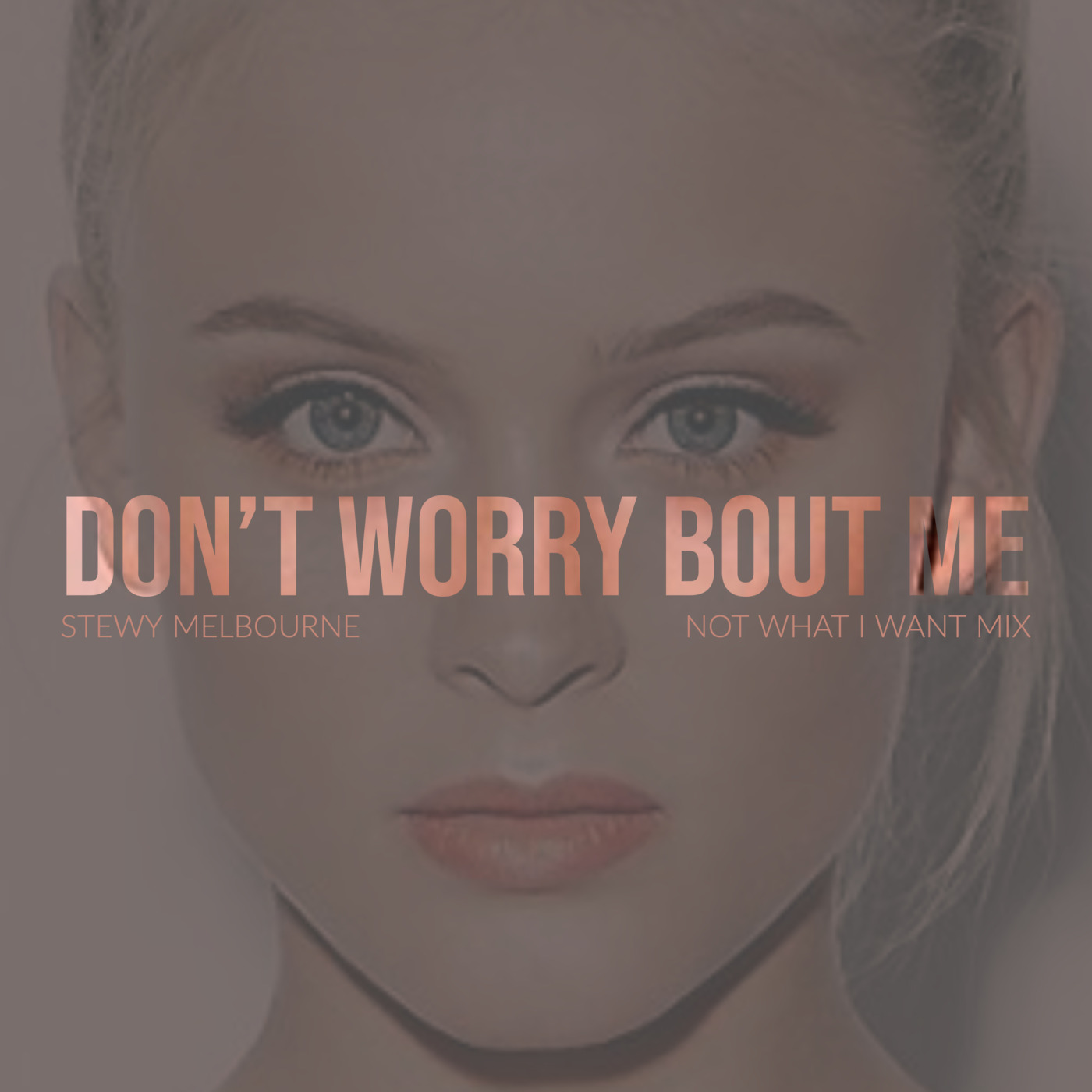 Don't Worry Bout Me (Not What I Want Mix)