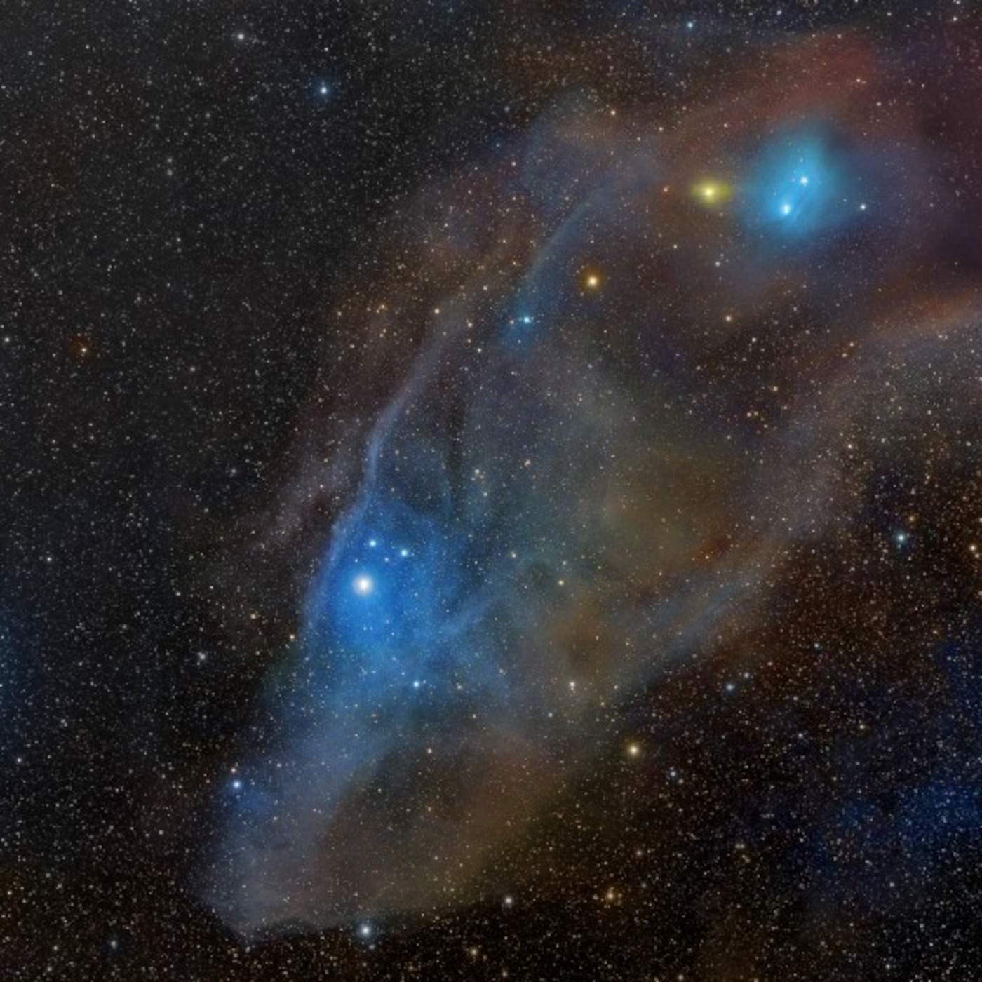 IC 4592 - Голубая Конская Голова