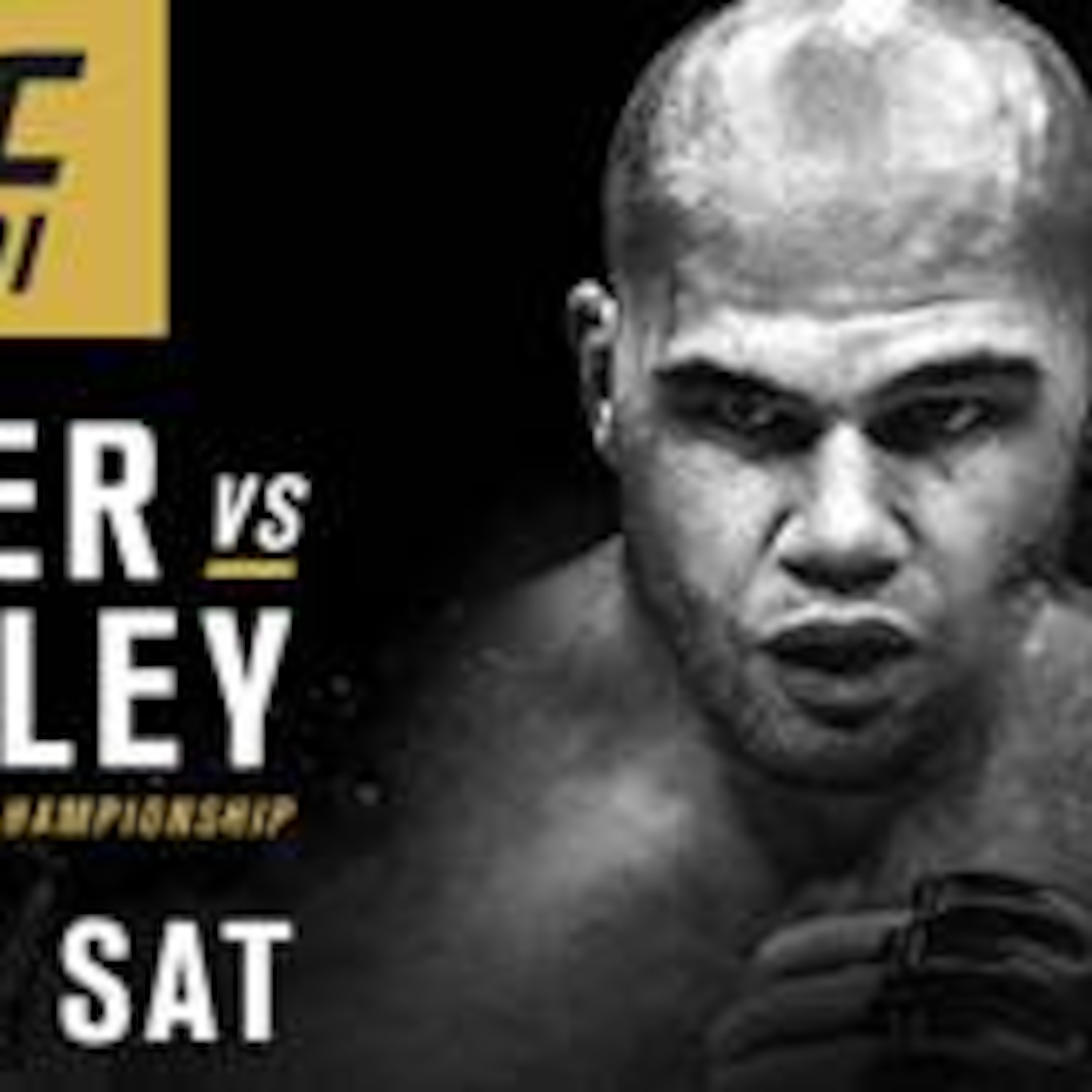 UFC Fight Night: Holm vs Shevchenko and UFC 201: Lawler vs Woodley Media Call episode artwork