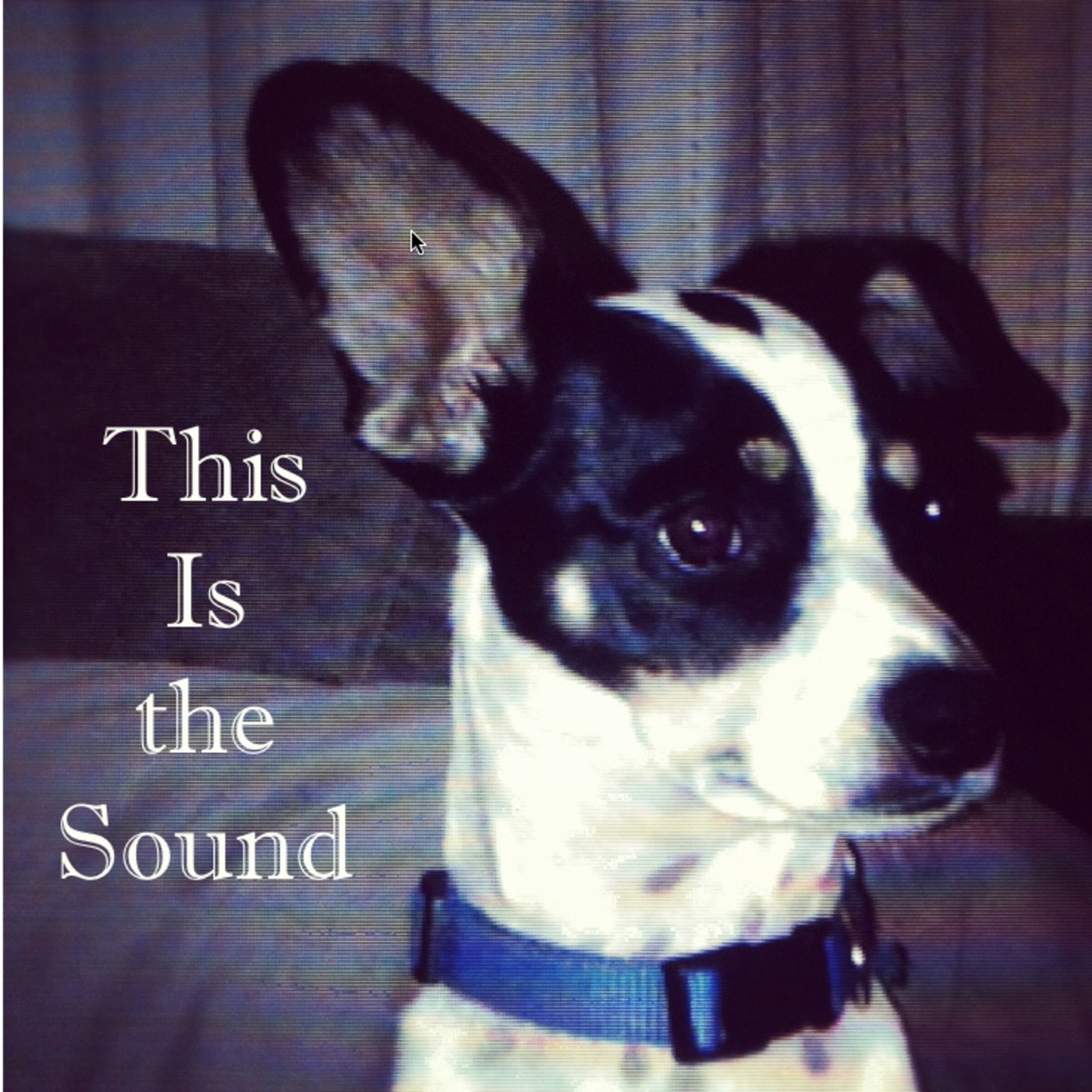 This Is the Sound episode 5 - The Christmas Music Episode!