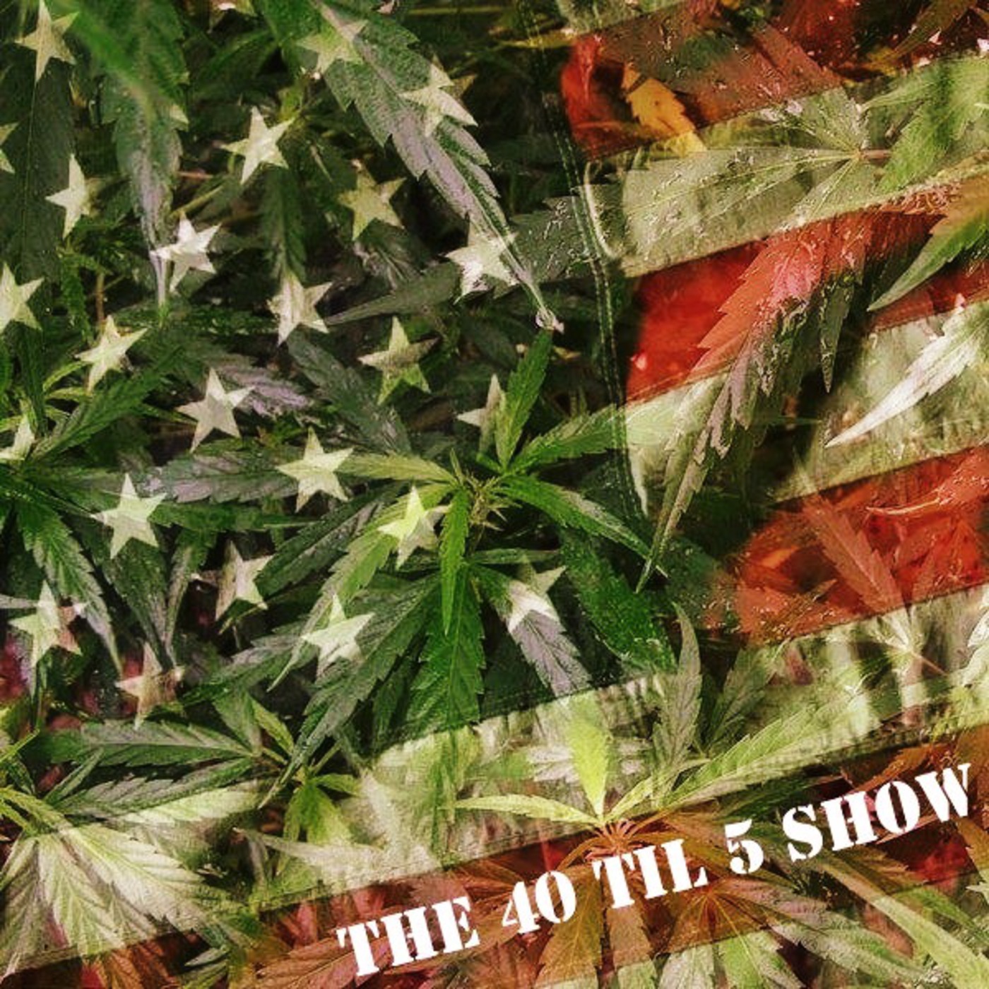 40til5 #81: The Election Special