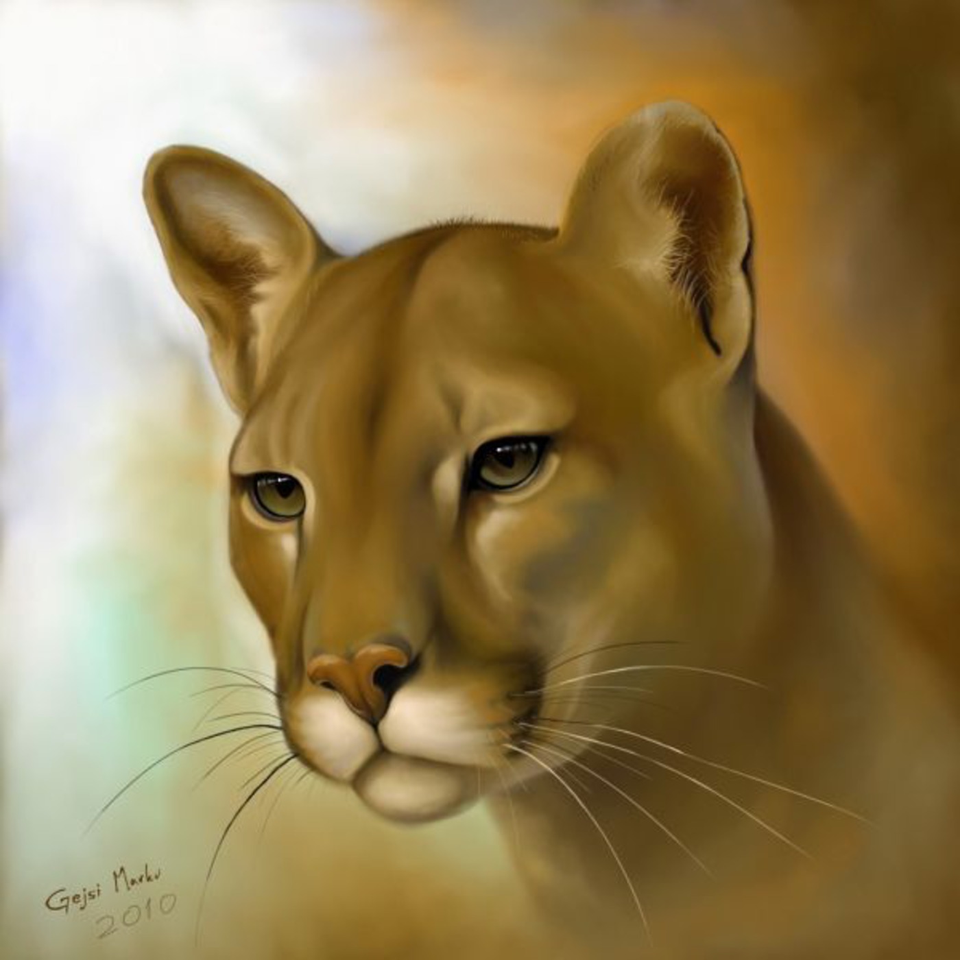 Episode 13 - Puma (The Quickening)