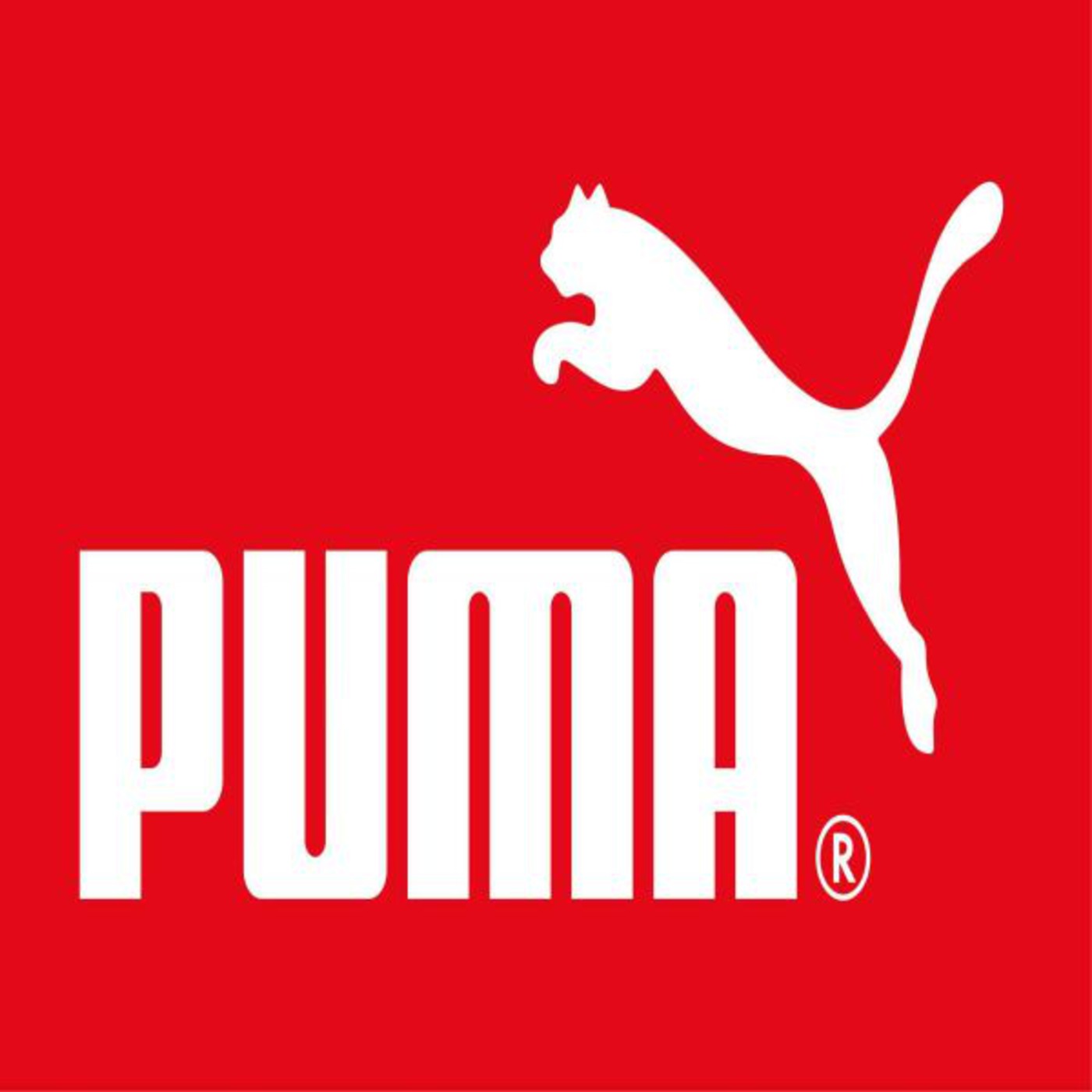 Episode 16 - Puma (The Final Battle)