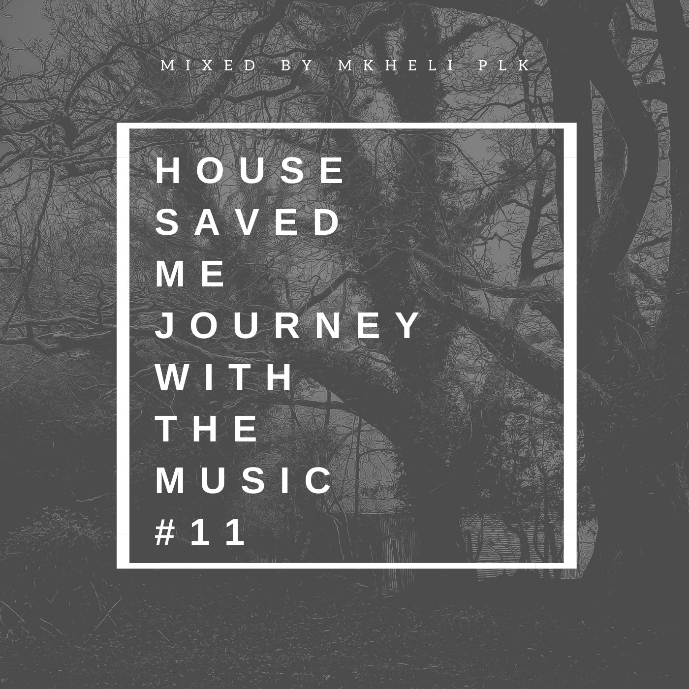 House Saved Me (Journey With The Music) Mixes