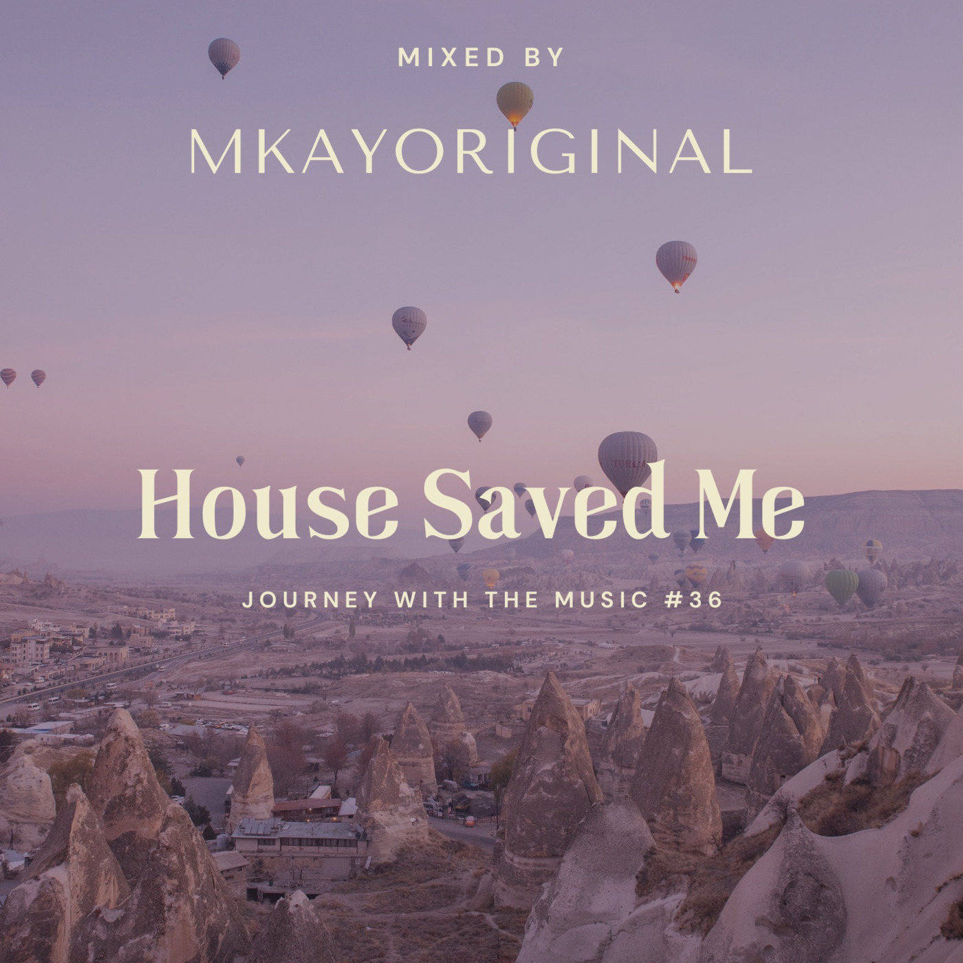 House Saved Me (Journey With The Music) Mixes