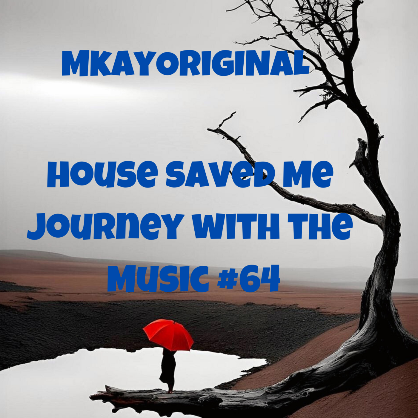 House Saved Me (Journey With The Music) Mixes