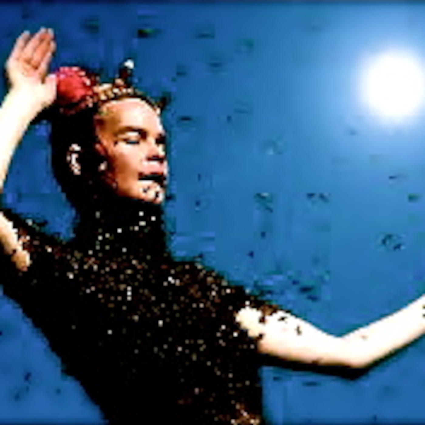 The Beehive Cluster