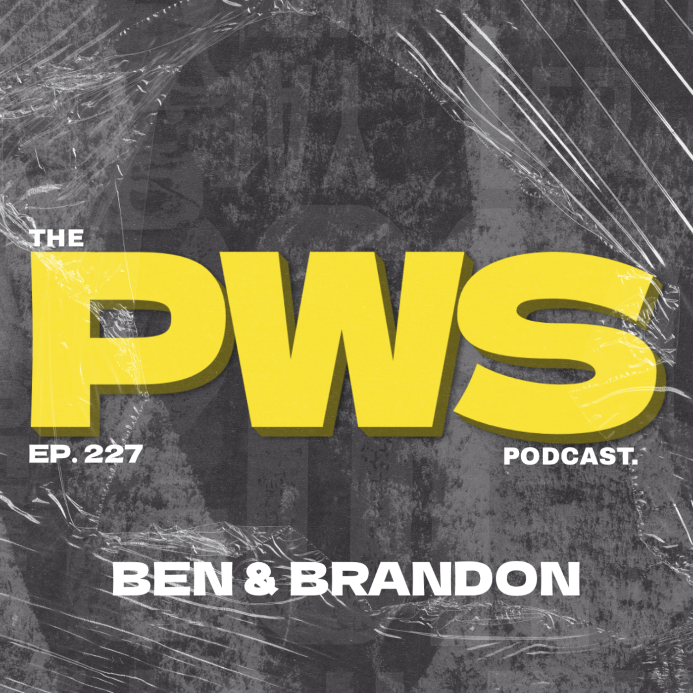 Episode 227: Different Styles of Therapy | PWS #227 | w/ Ben & Brandon episode artwork