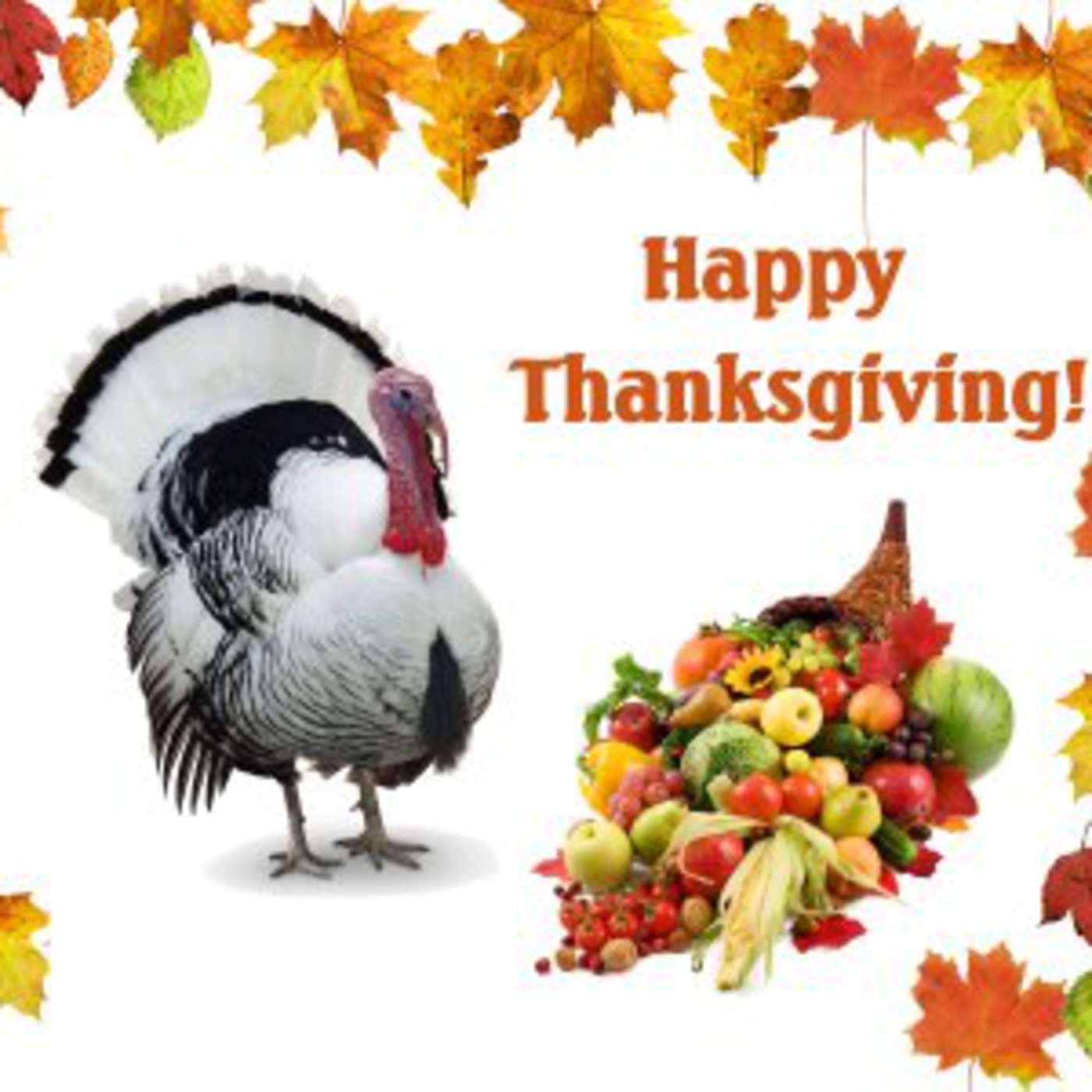 Thanksgiving Special