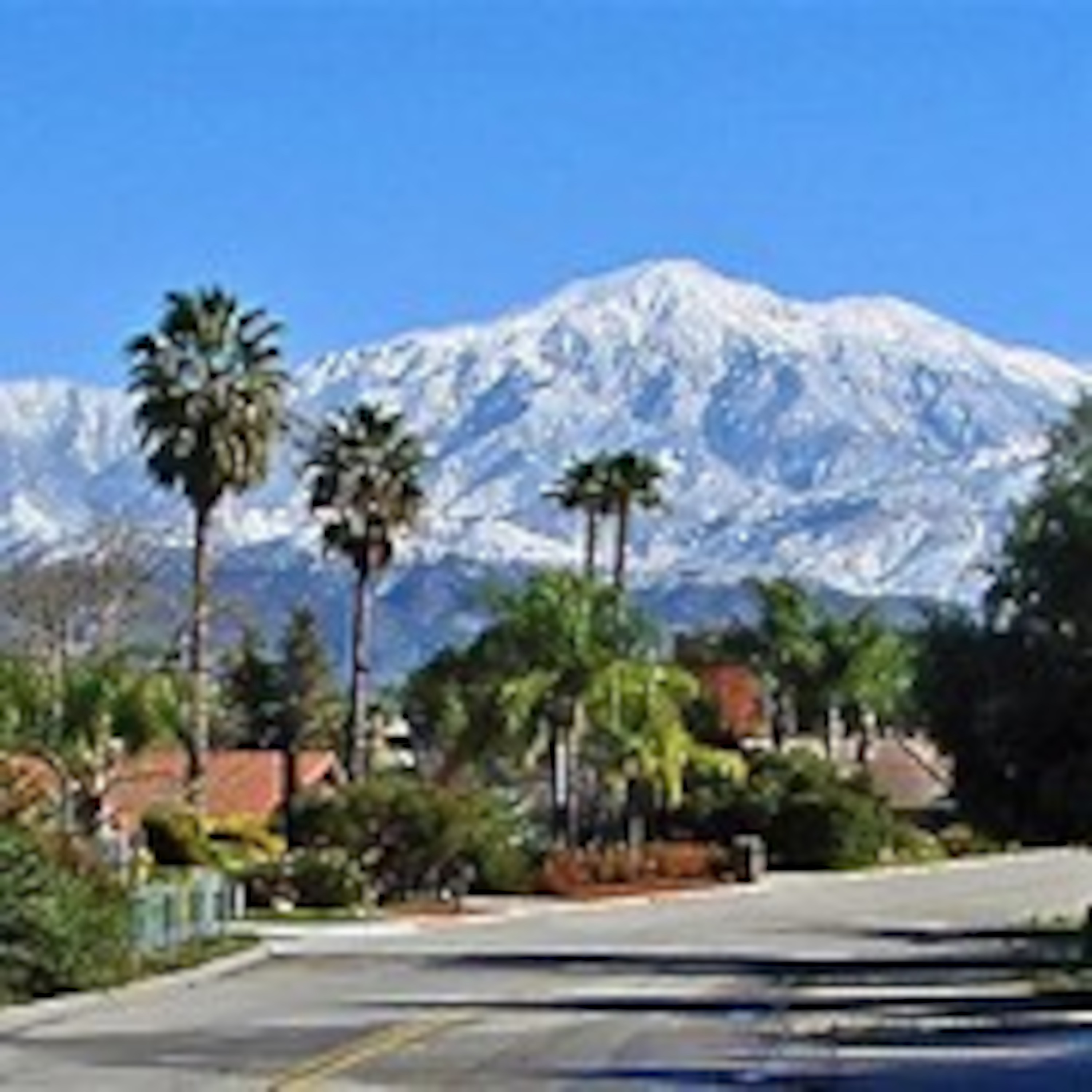 Redlands Prayer Service