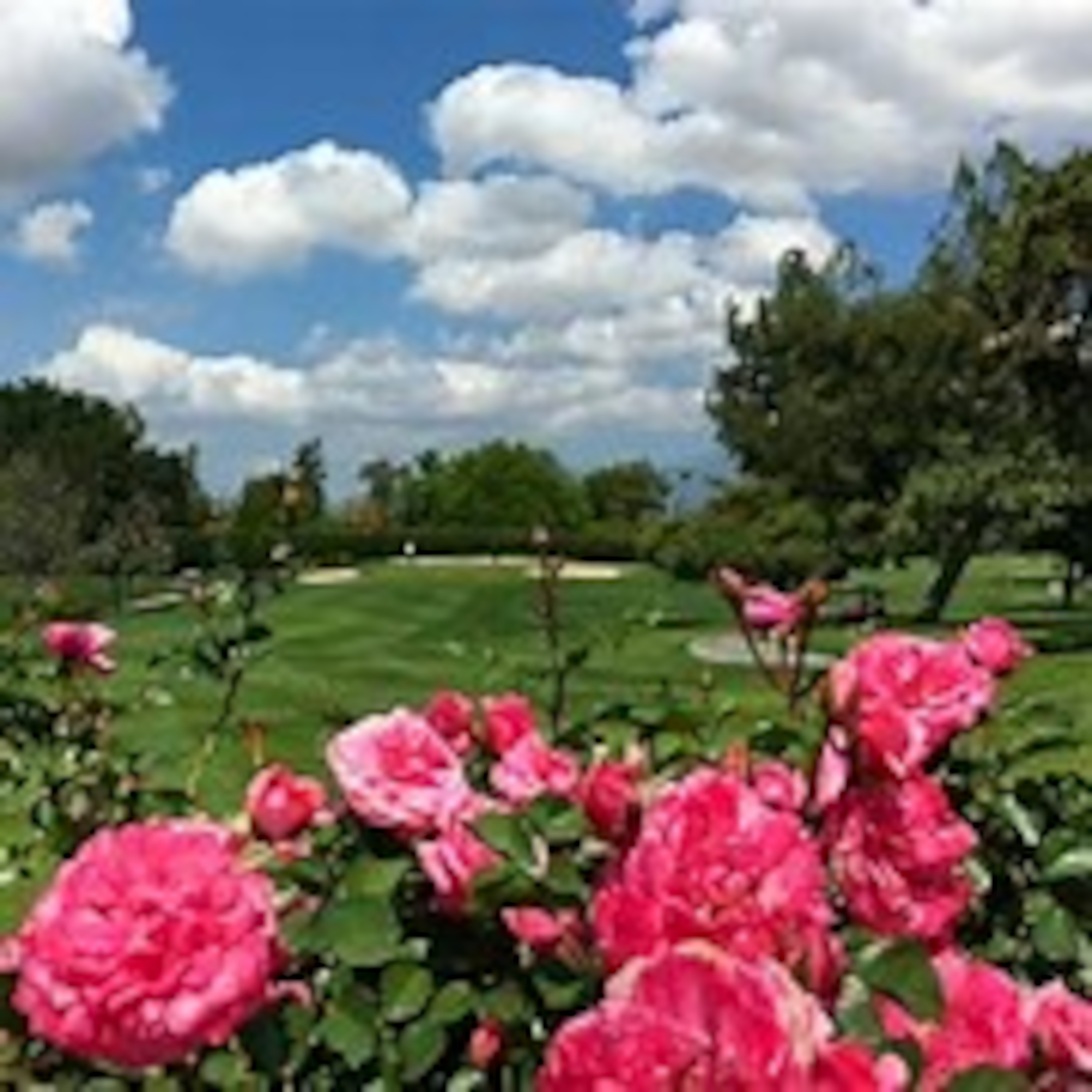 Redlands jan 2020 unedited