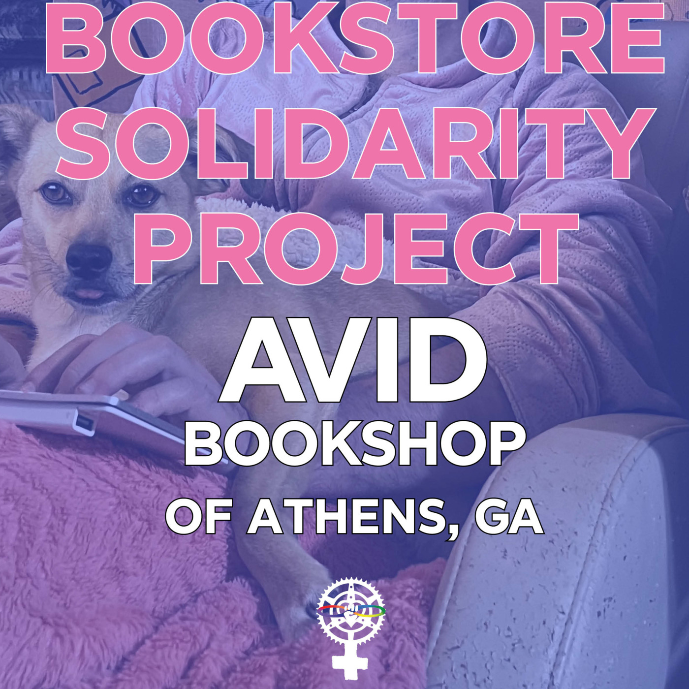 Episode 266: Can booksellers increase bonding over Corgis? Janet Geddis of Avid Bookshop episode artwork