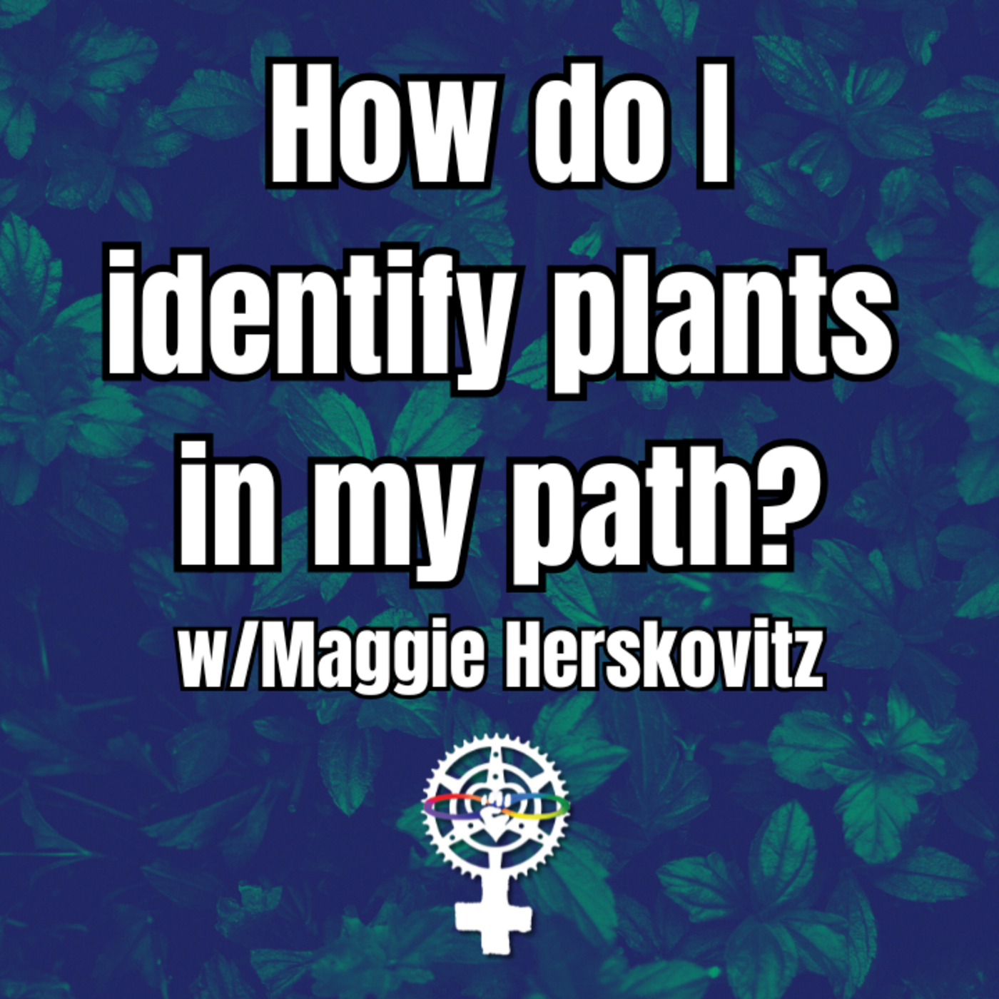 Episode 301: How Do I Identify the Plants in My Path? w/ Maggie Herskovitz episode artwork