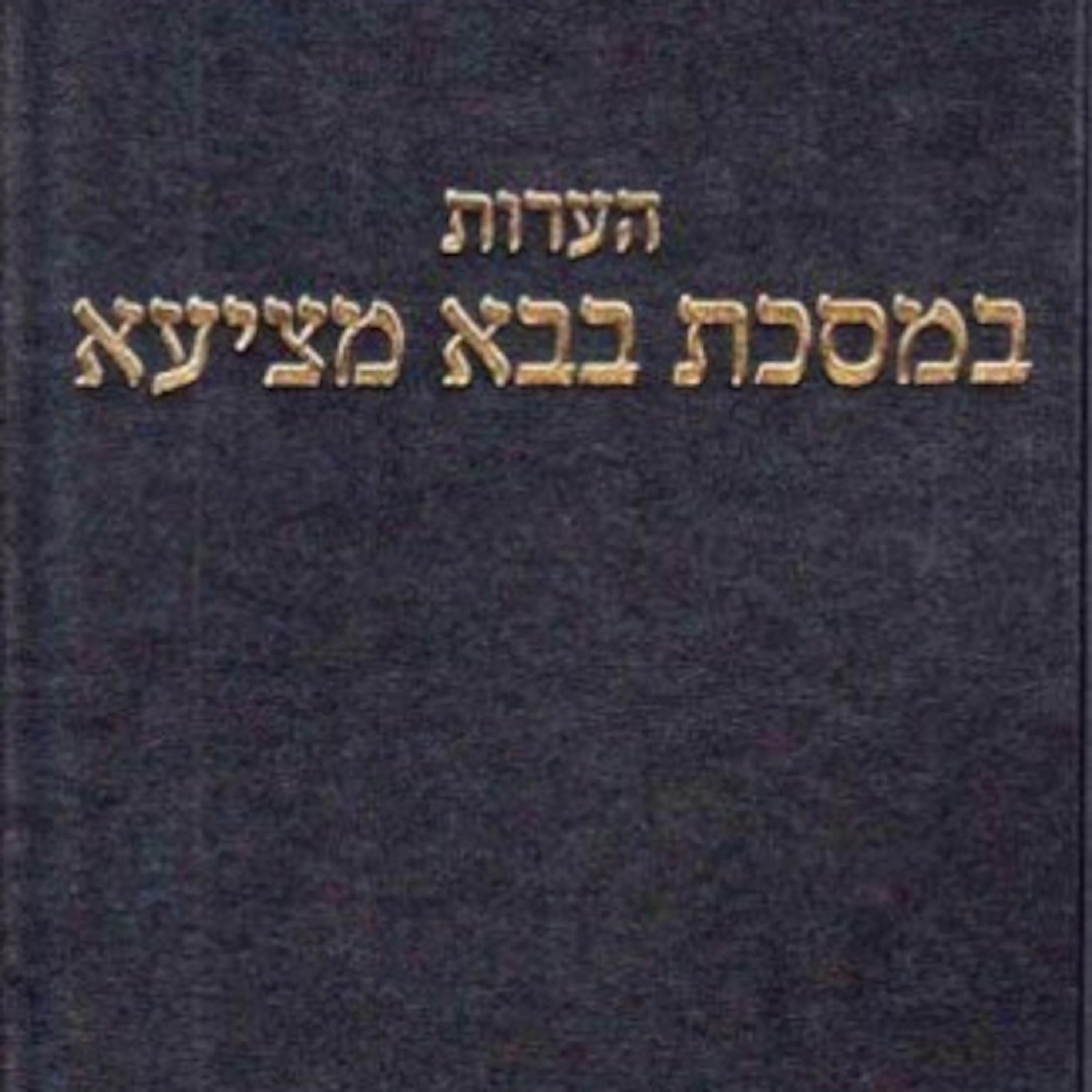 The Laws of Ribbit - Bava Metzia - 5th Perek, Eizehu Neshech podcast artwork