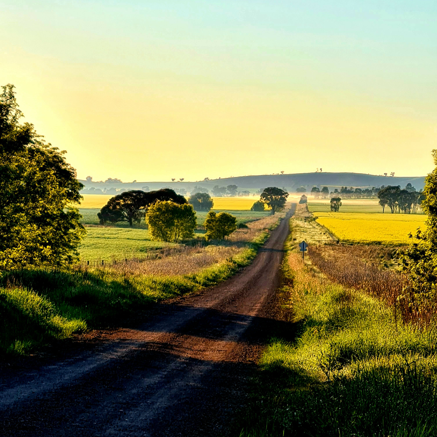 Episode 1356: Car wheels on a gravel road #146 with TIff episode artwork