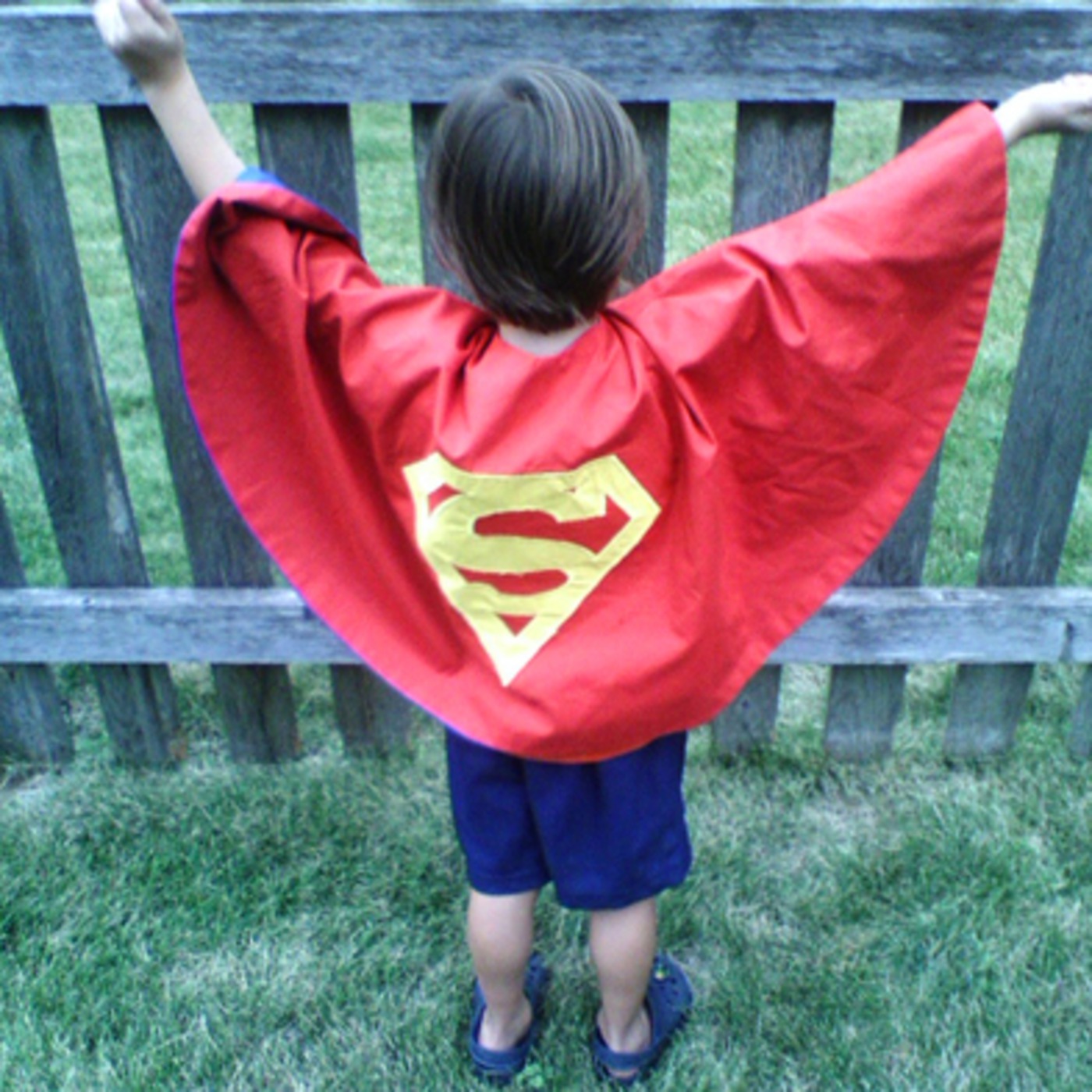 THE ROCK SHOW - Hero Worship THE ROCK SHOW - Hero Worship