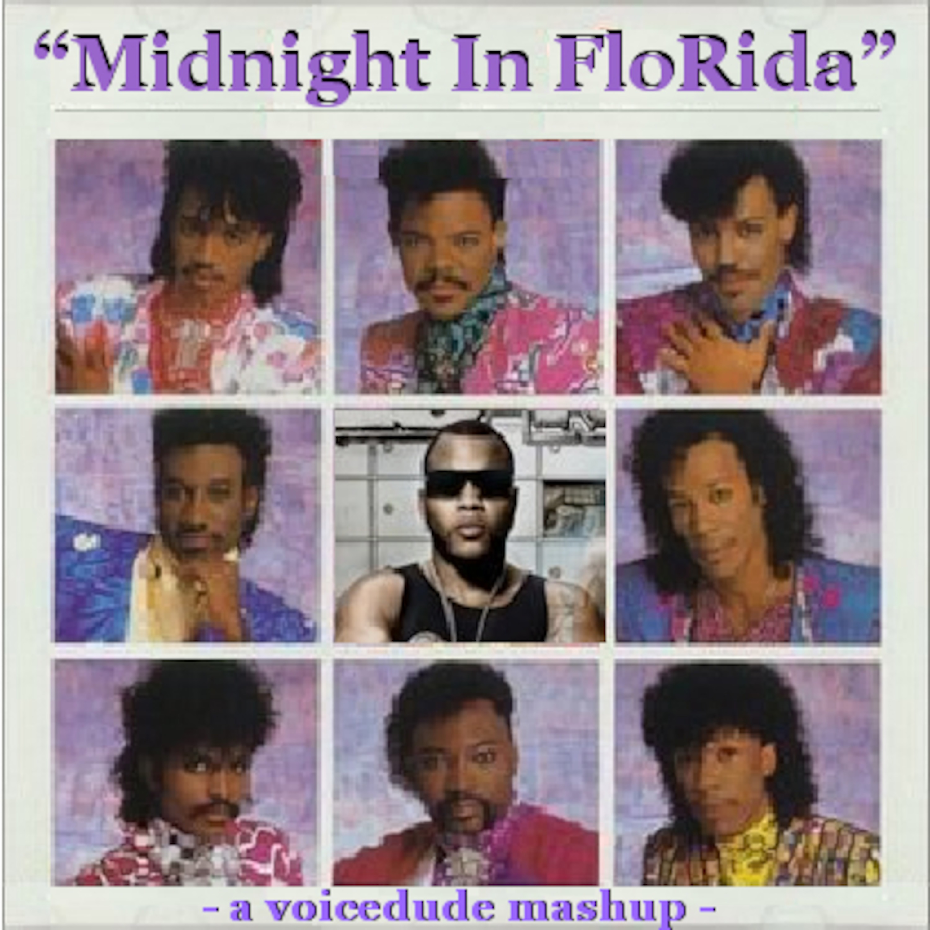 Voicedude\'s Newest Mashups