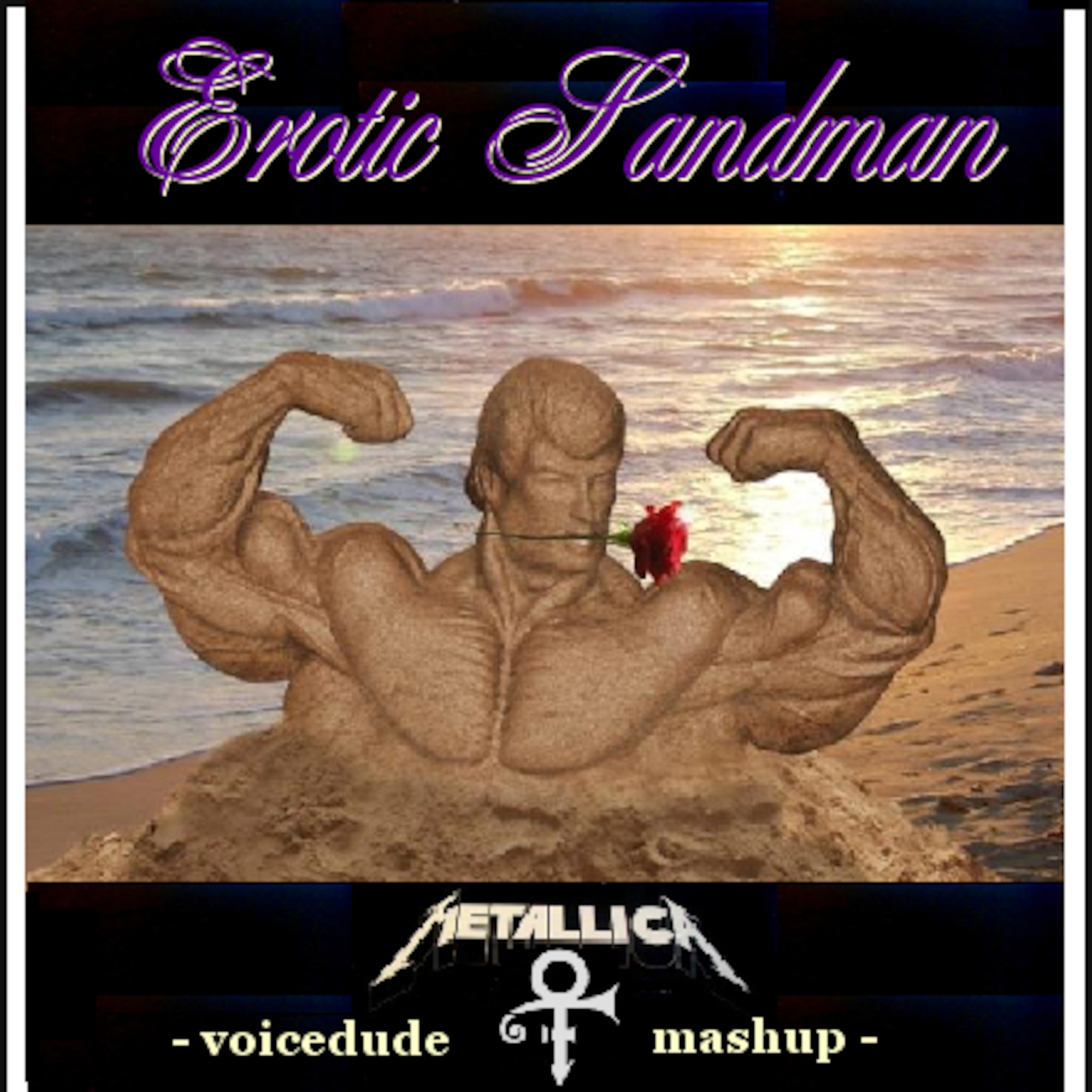 Voicedude\'s Newest Mashups