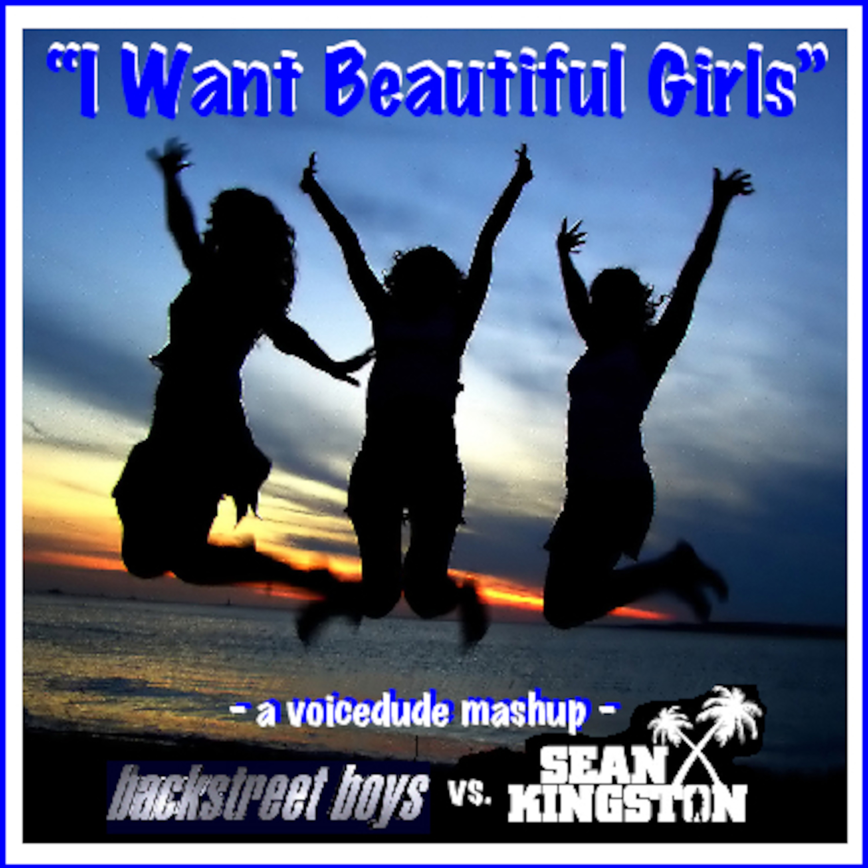 Voicedude\'s Newest Mashups