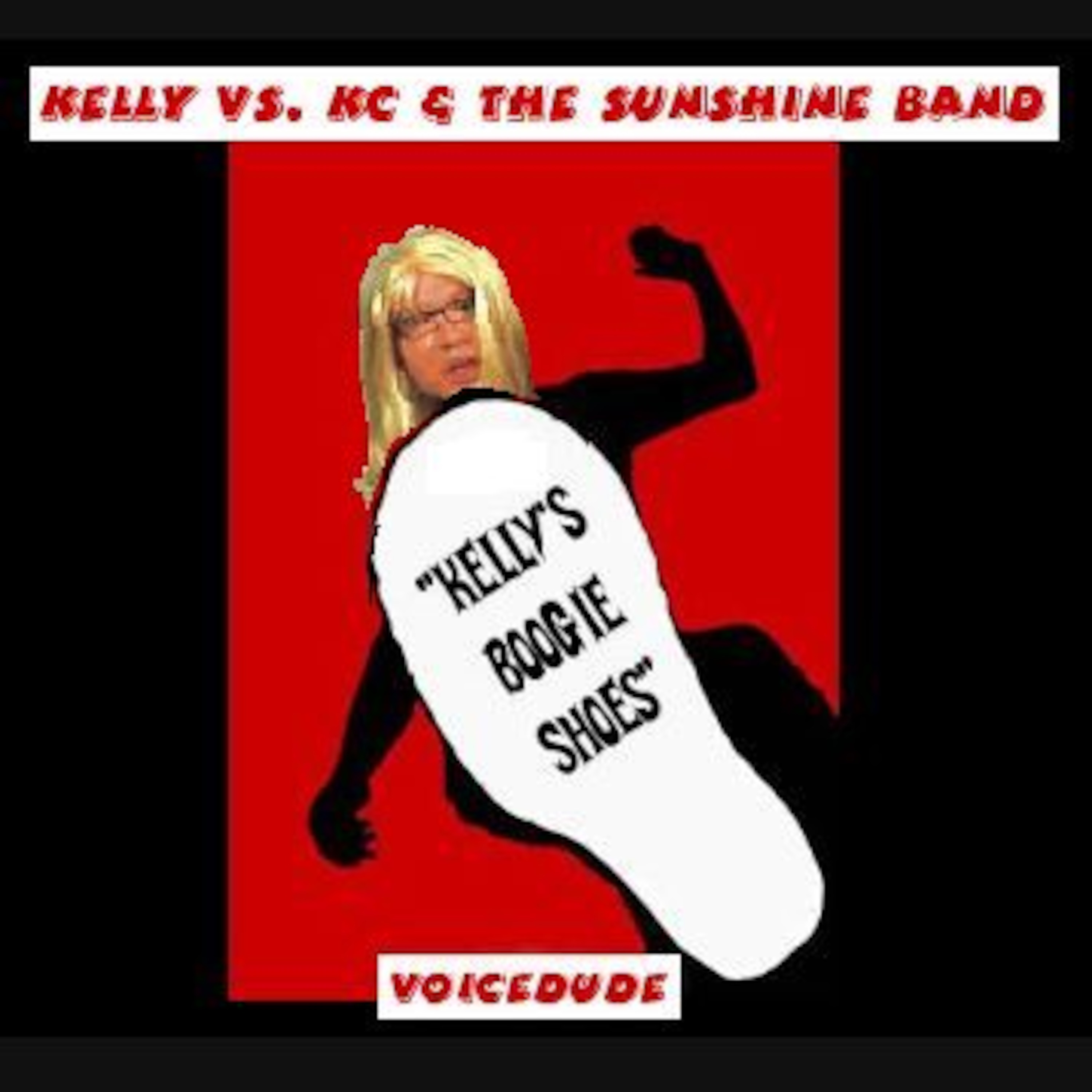 Voicedude\'s Newest Mashups