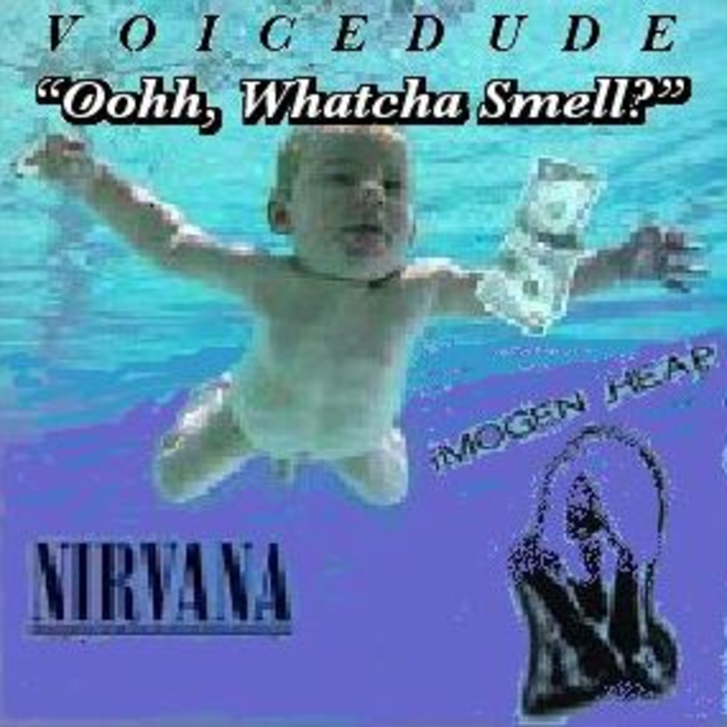 Voicedude\'s Newest Mashups
