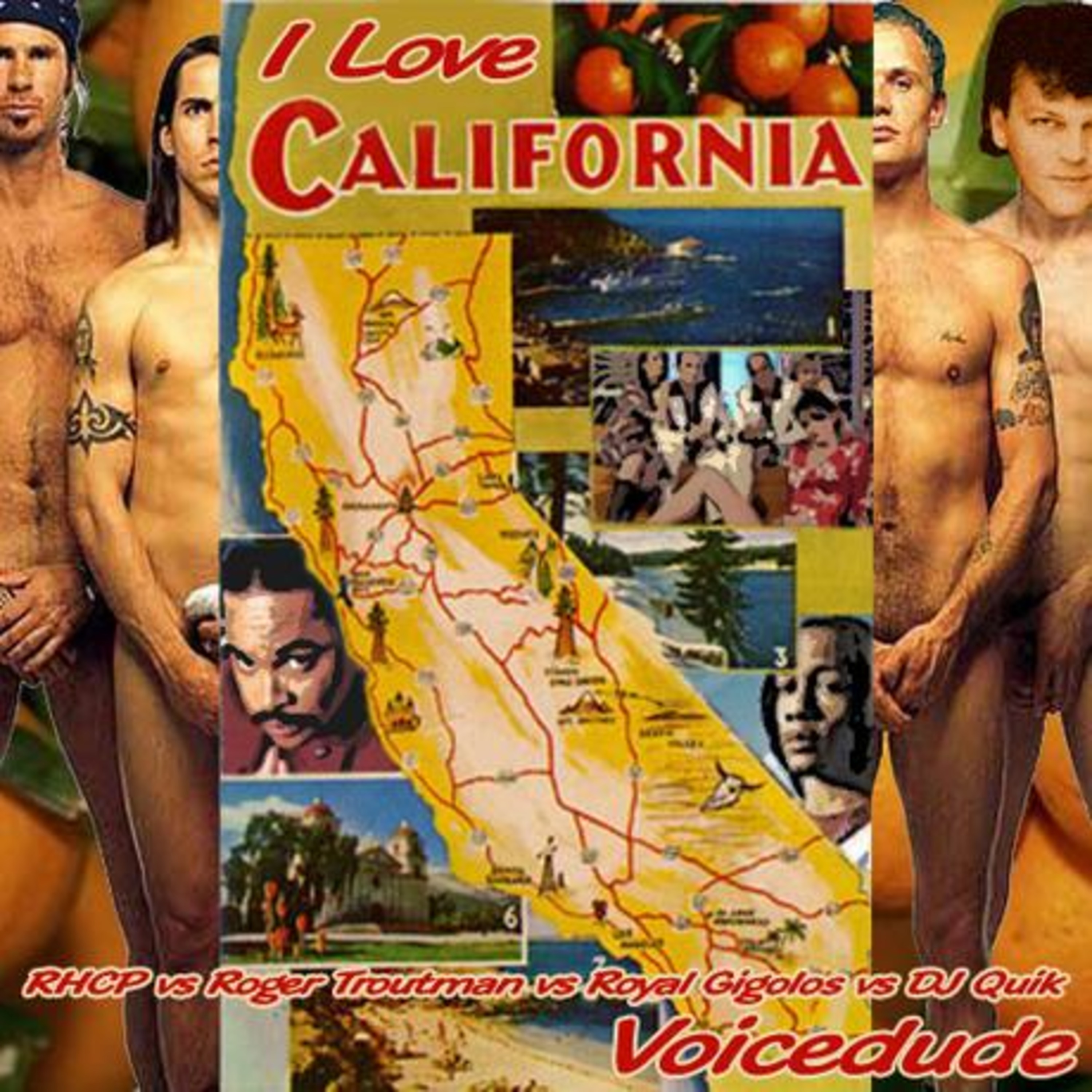 Voicedude\'s Newest Mashups