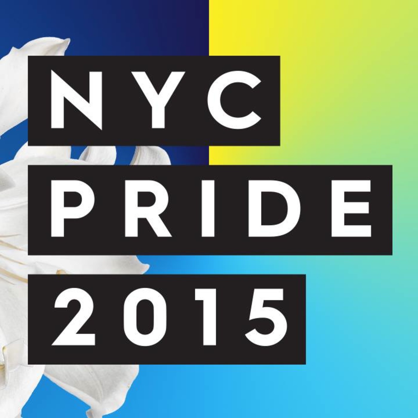 NYC Pier Dance Teaser Summer 2015 - Wayne G