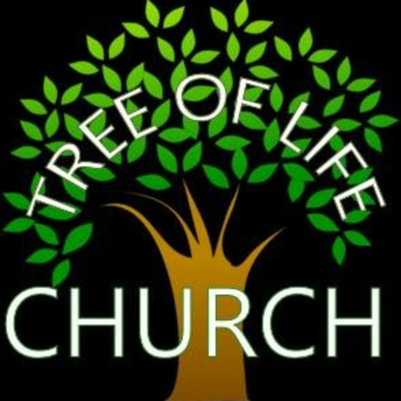 Tree of Life Assembly of God