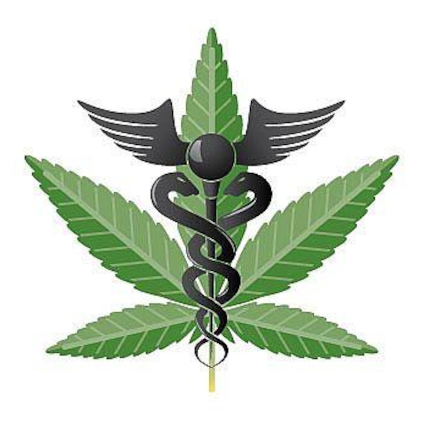Medical Conditions treated with Cannabis