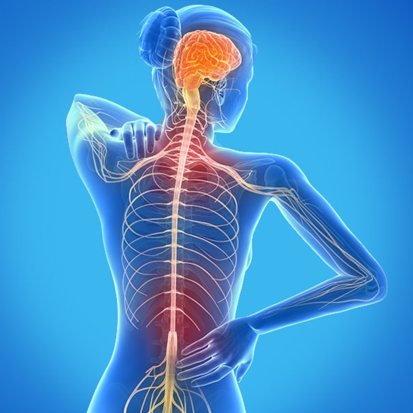 Cannabis and Multiple Sclerosis