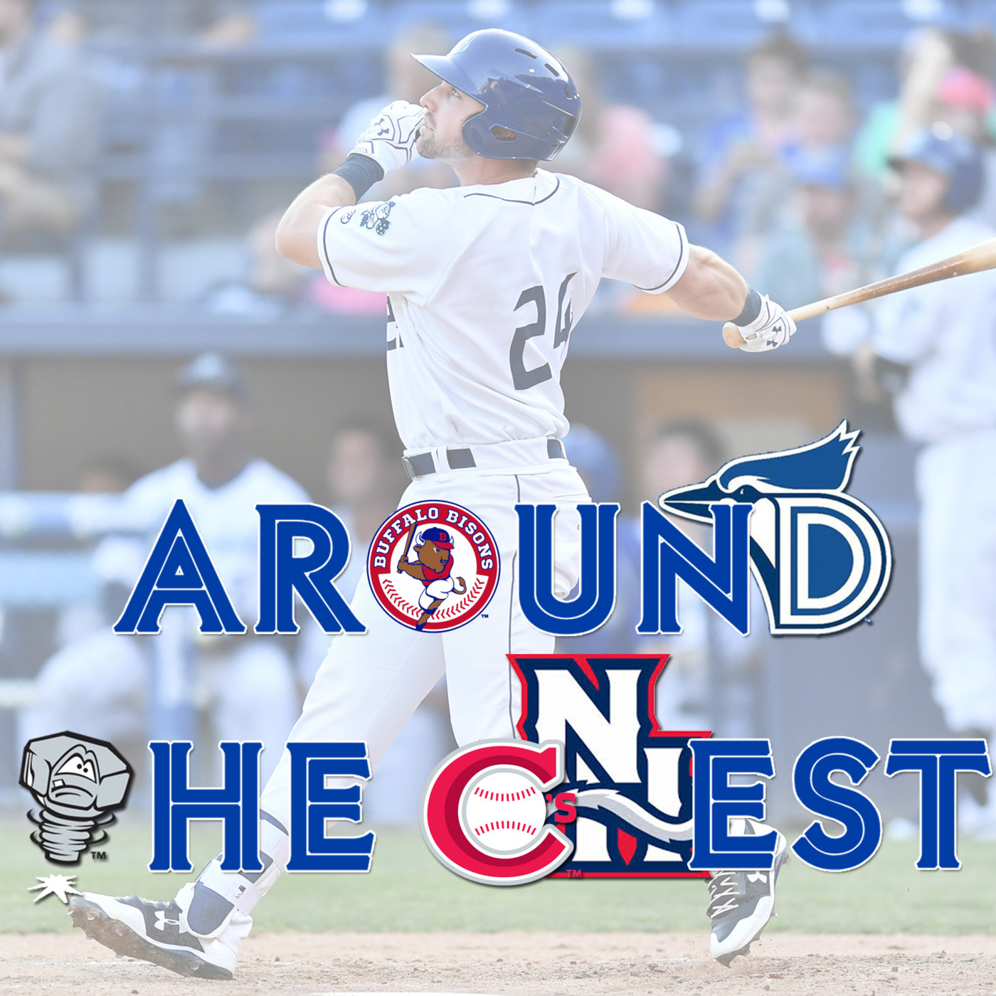 Around the Nest, Week 16 – Meet the New Guys