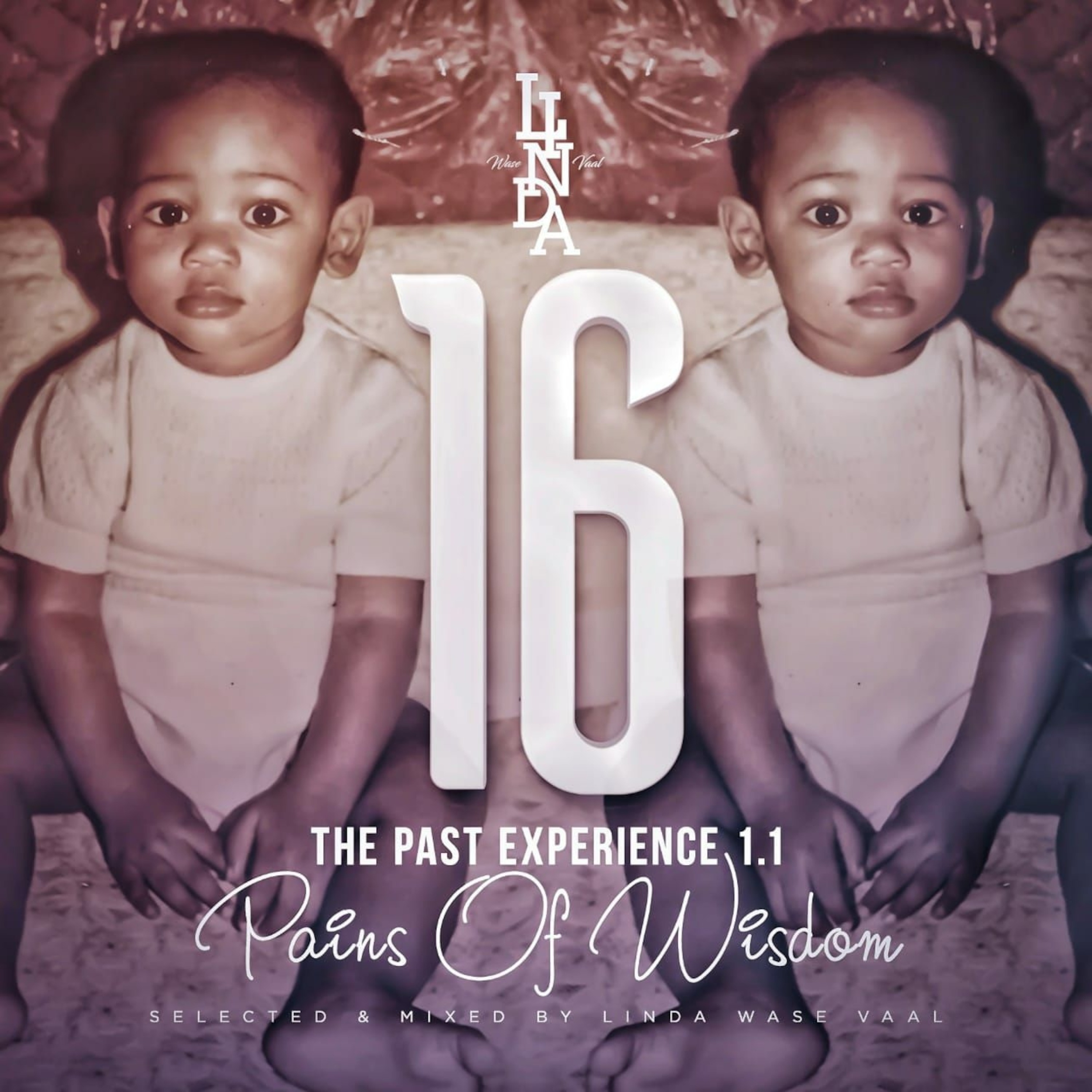 Pains Of Wisdom 16 (The Past Experience 1.1) _ Selected and Mixed by Linda Wase Vaal