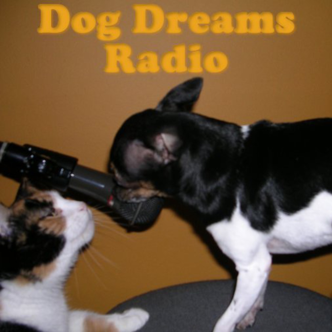 dogdreamsradio\'s Podcast