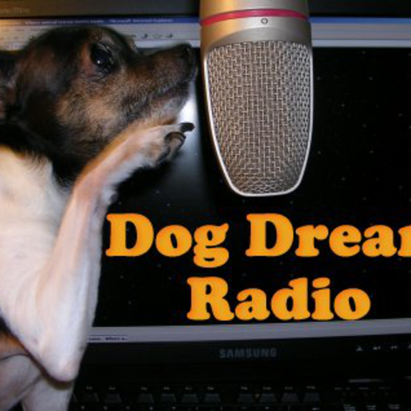 dogdreamsradio\'s Podcast