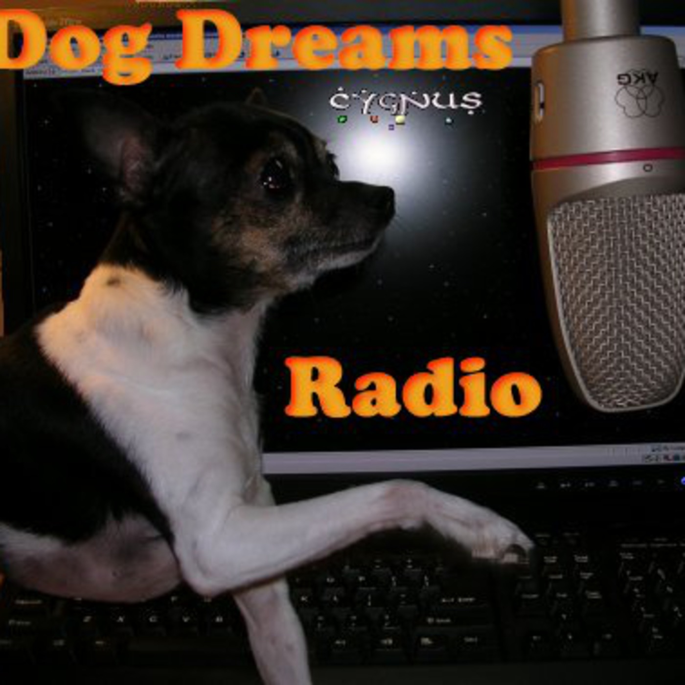 dogdreamsradio\'s Podcast