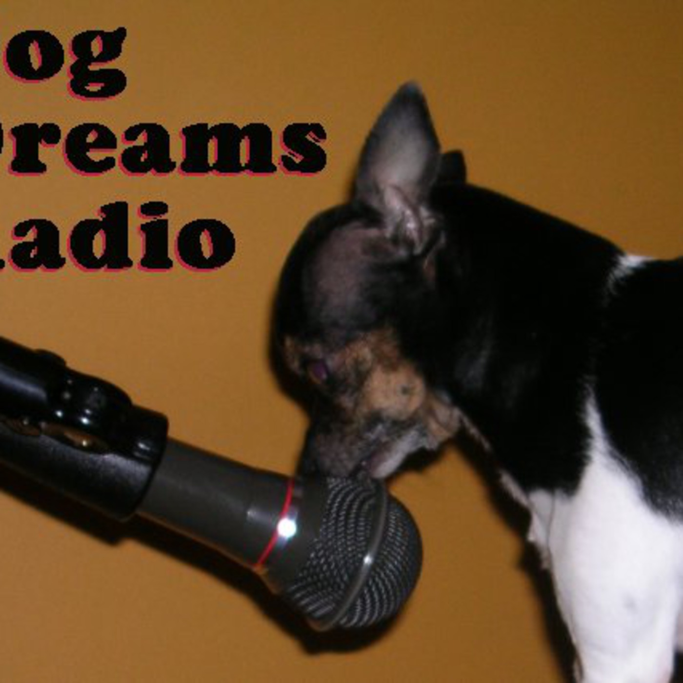 dogdreamsradio\'s Podcast