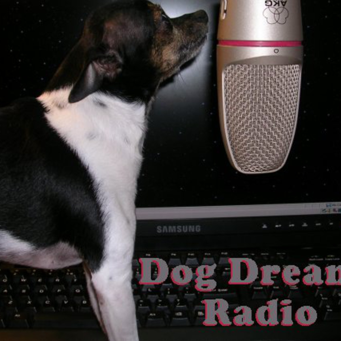 dogdreamsradio\'s Podcast